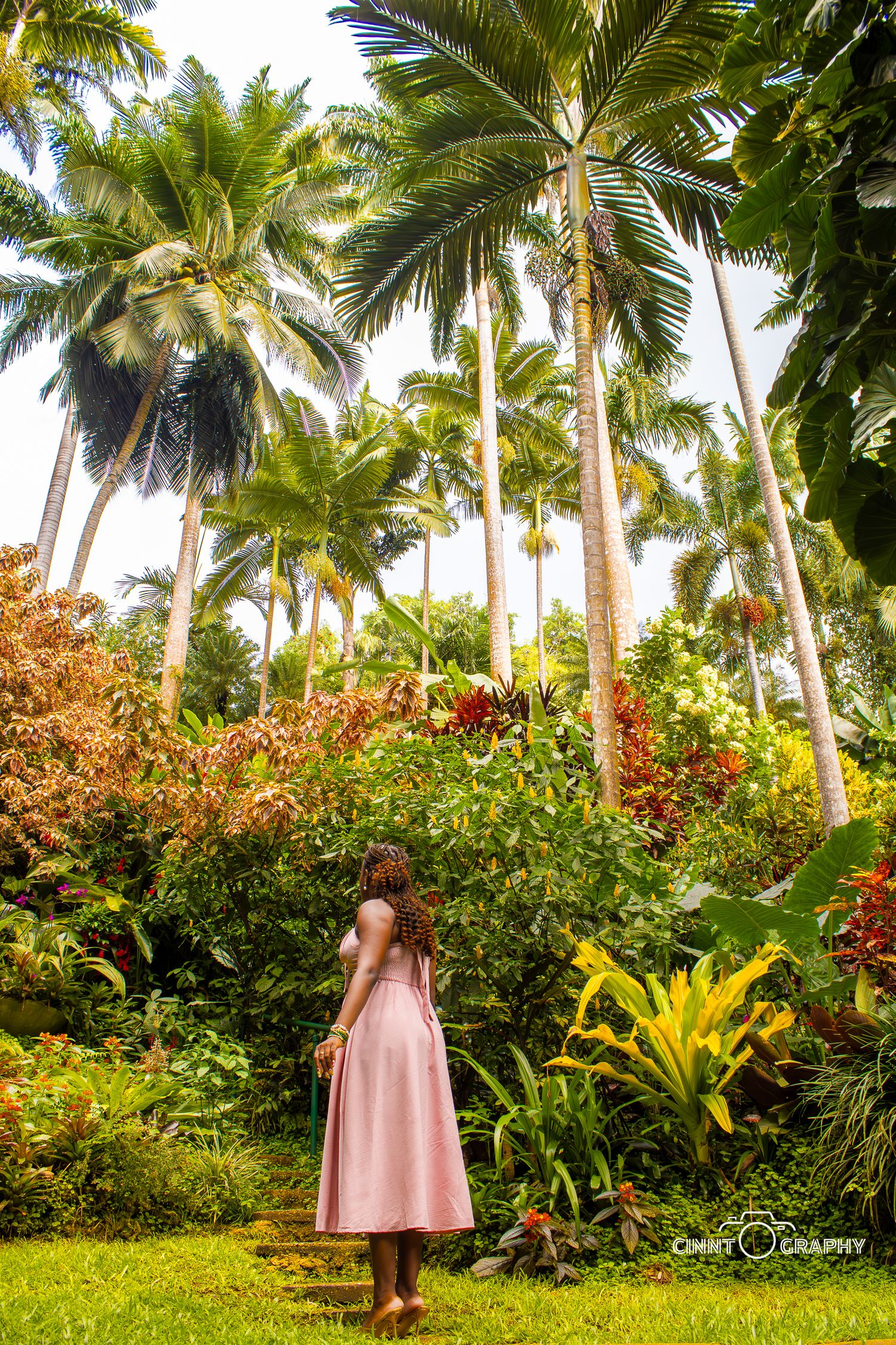 A pink-dressed figure stands in a lush tropical garden with tall palm trees and colorful foliage in Hawaii.