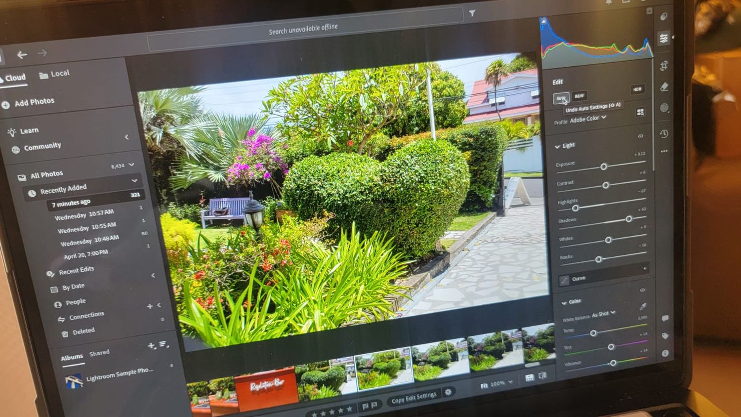 Computer screen showing photo editing software with landscaping image and editing panels on both sides.