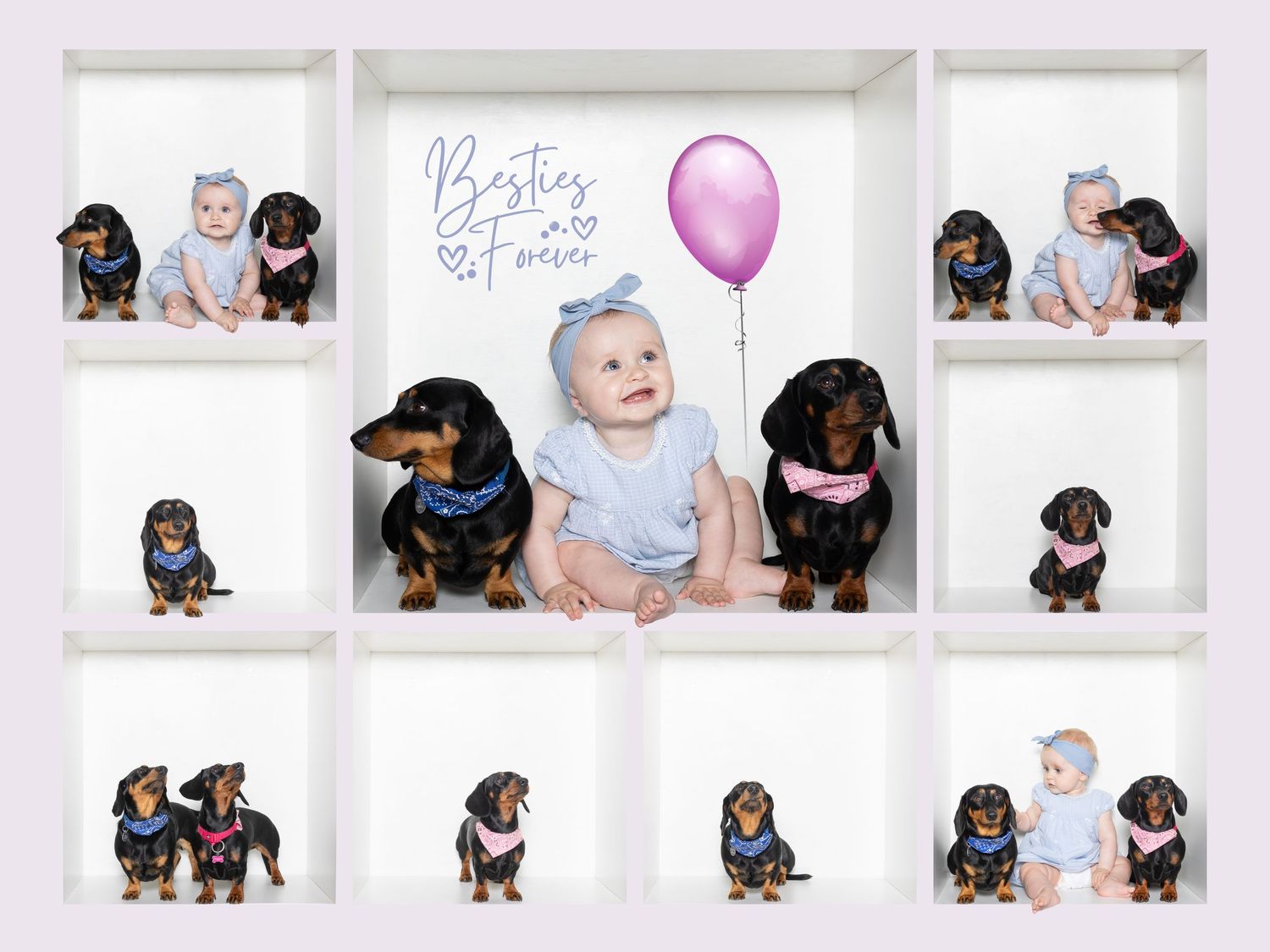 A collage of dachshund puppies and baby photos arranged in a grid layout with pink balloon accents.