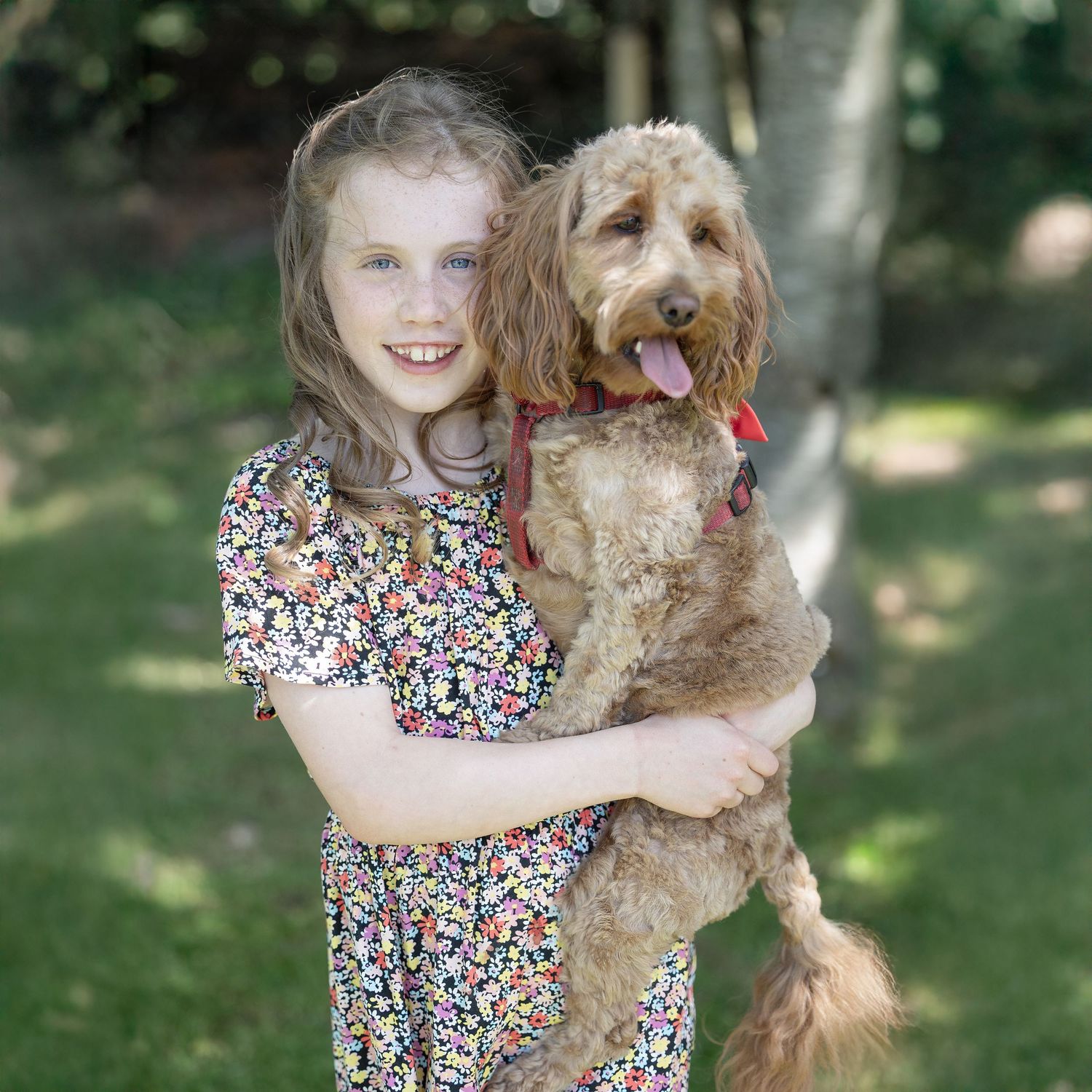 Child hugging fluffy golden dog outdoors in garden setting.