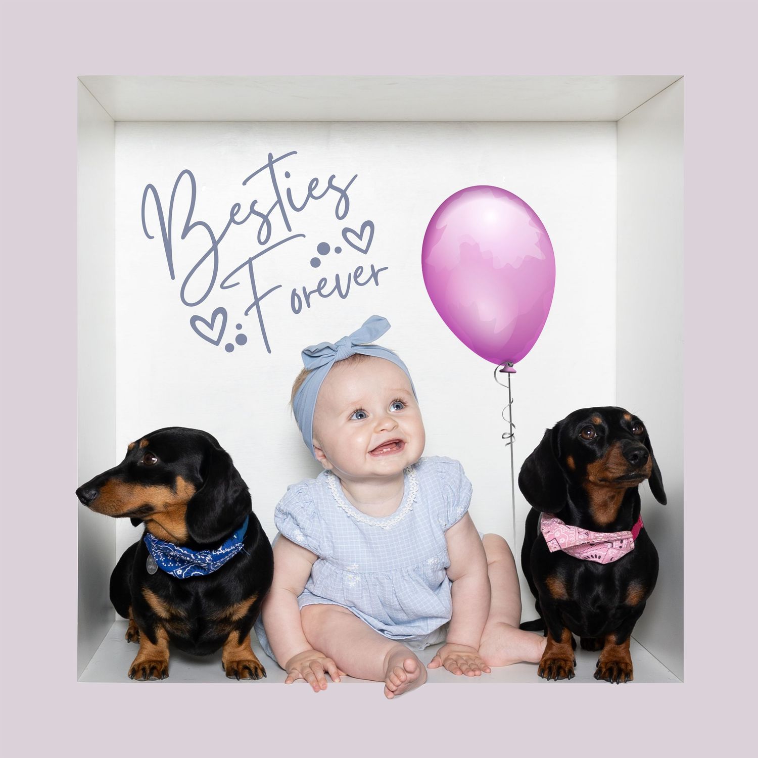 Baby and two dachshund puppies posing with pink balloon against white background.