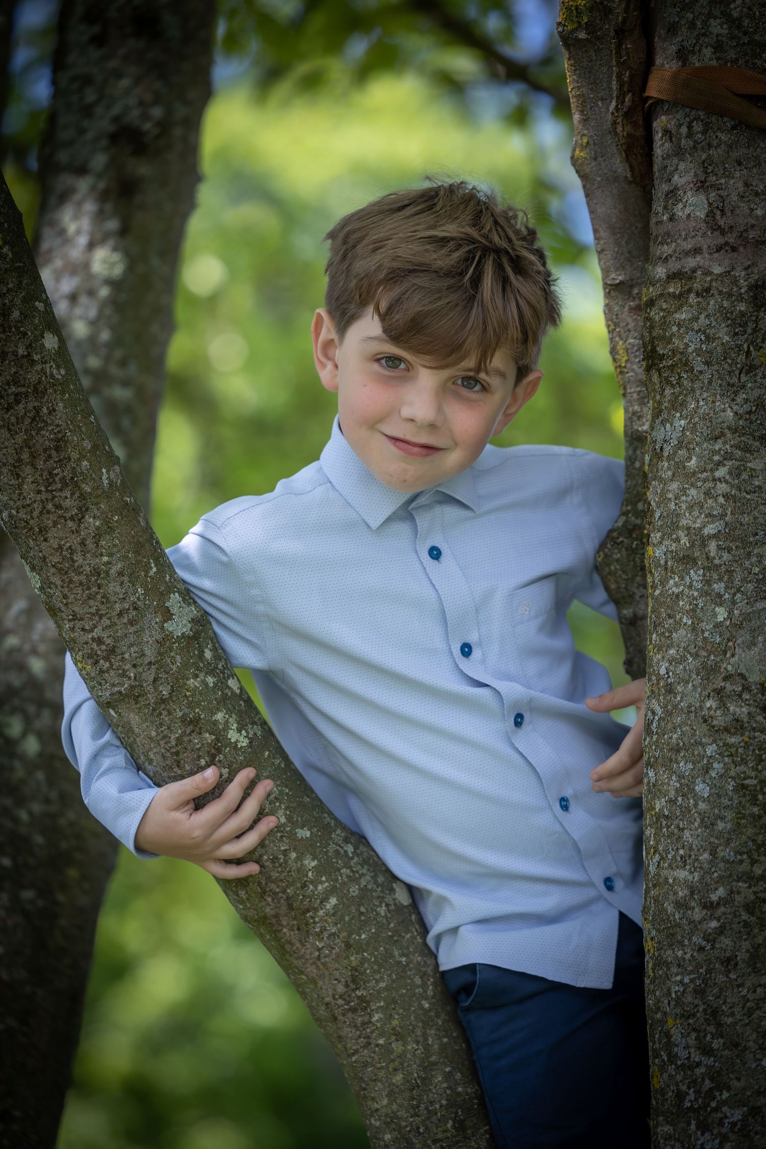 Child poses playfully between tree branches in light blue shirt.