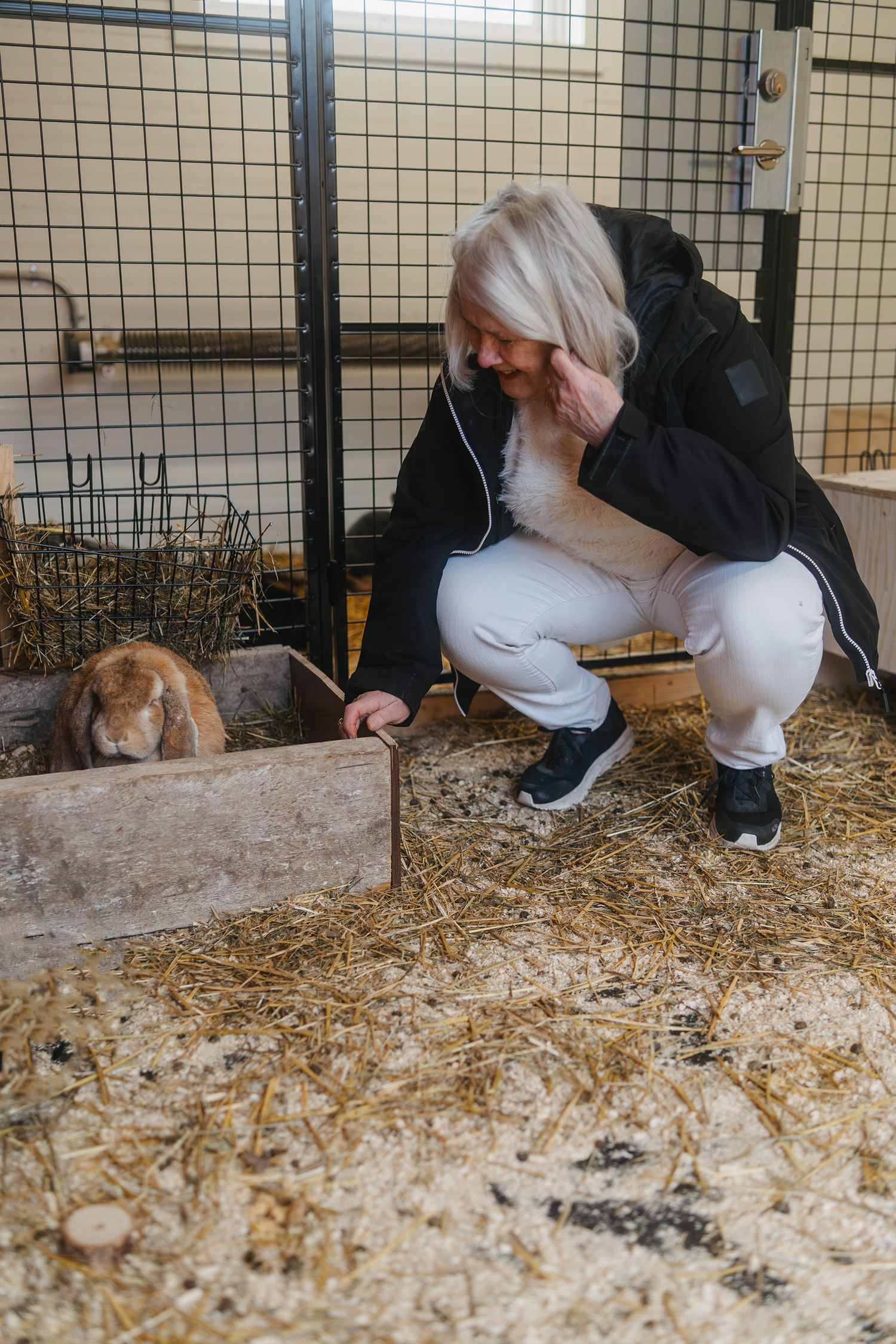 Someone reaches out to pet a small brown rabbit in a hay-filled enclosure with wire mesh walls.