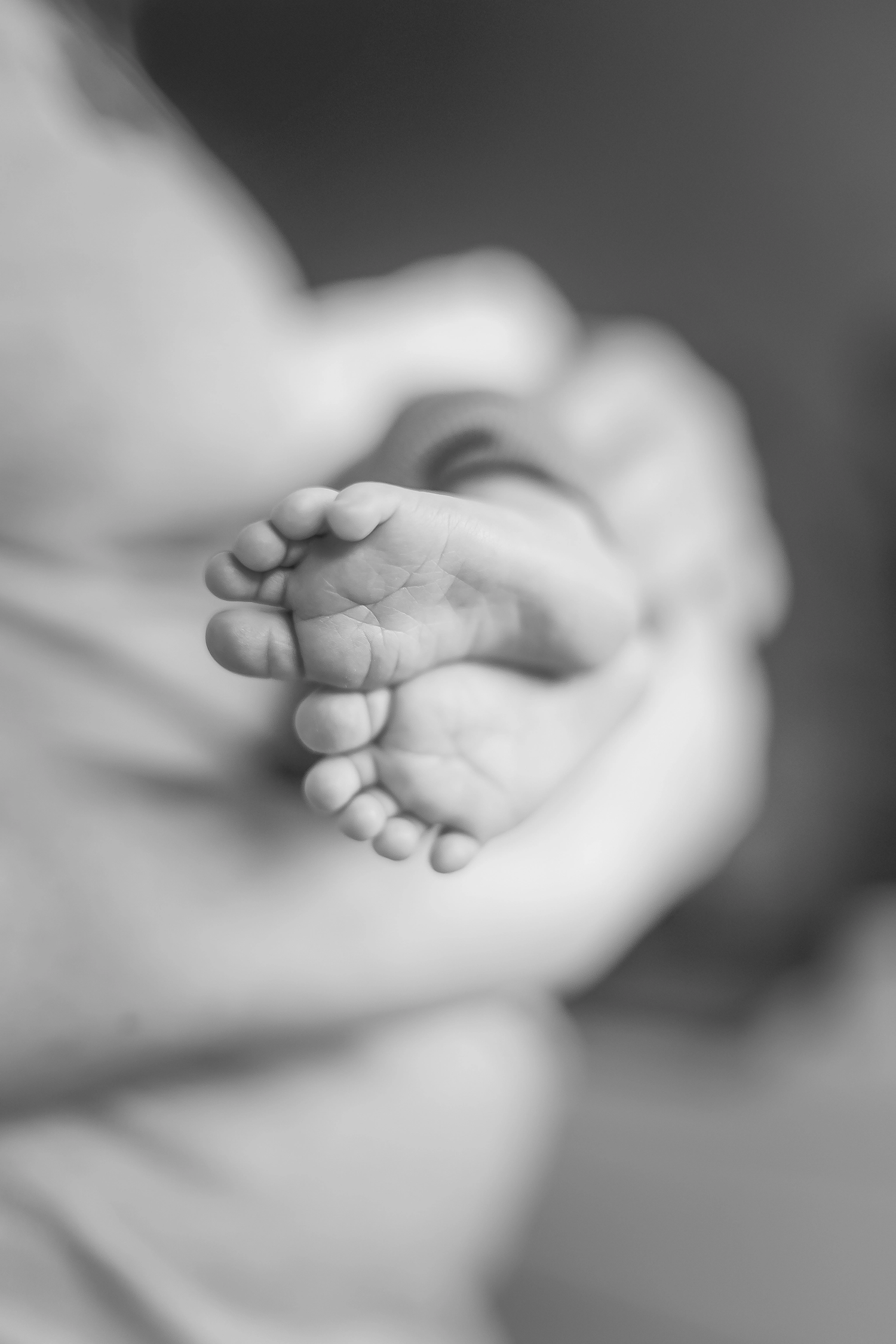 Close-up black and white image of tiny baby feet.