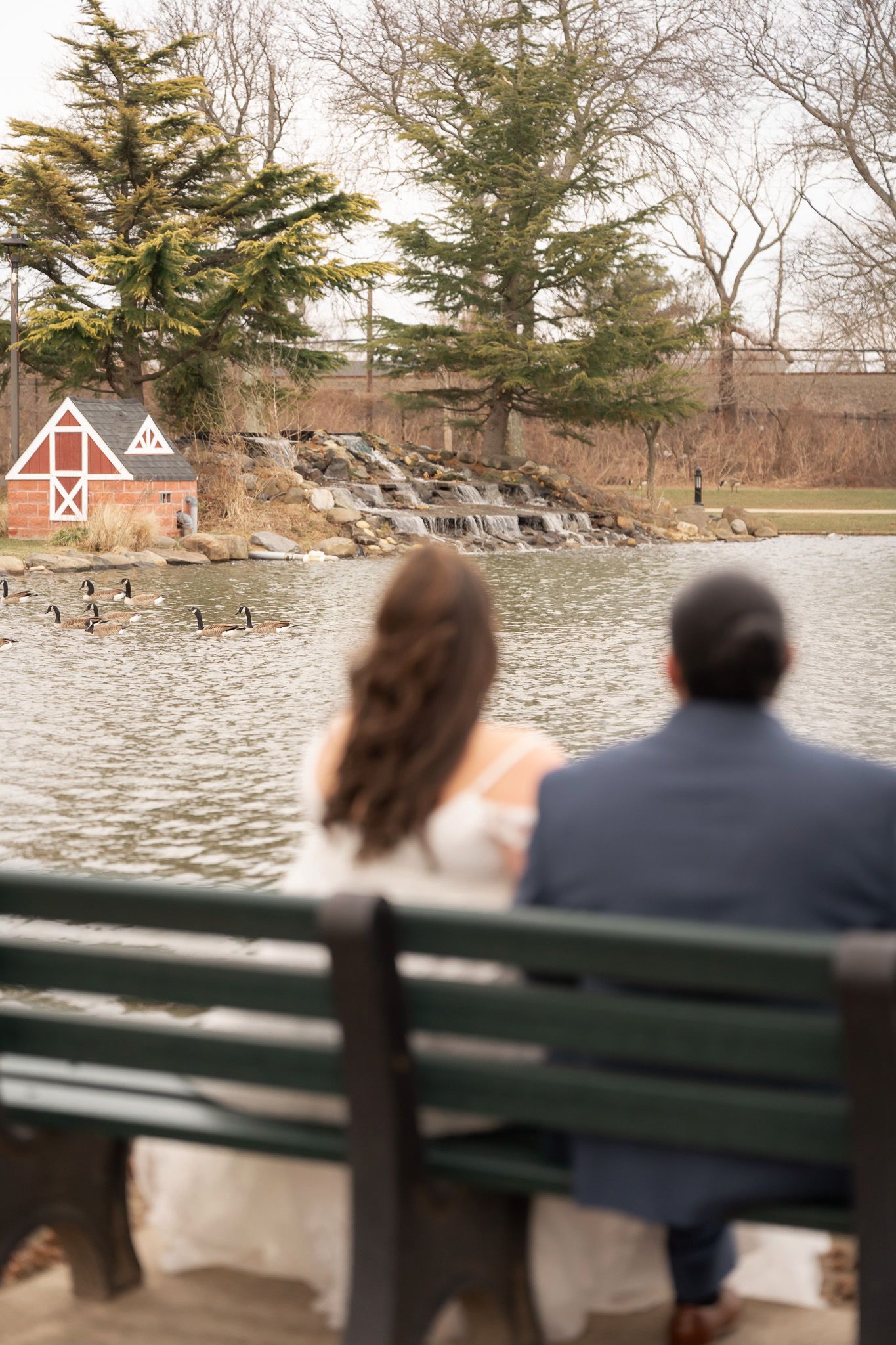 Couple sitting on a park bench overlooking a pond with geese, waterfall, and red barn in background.