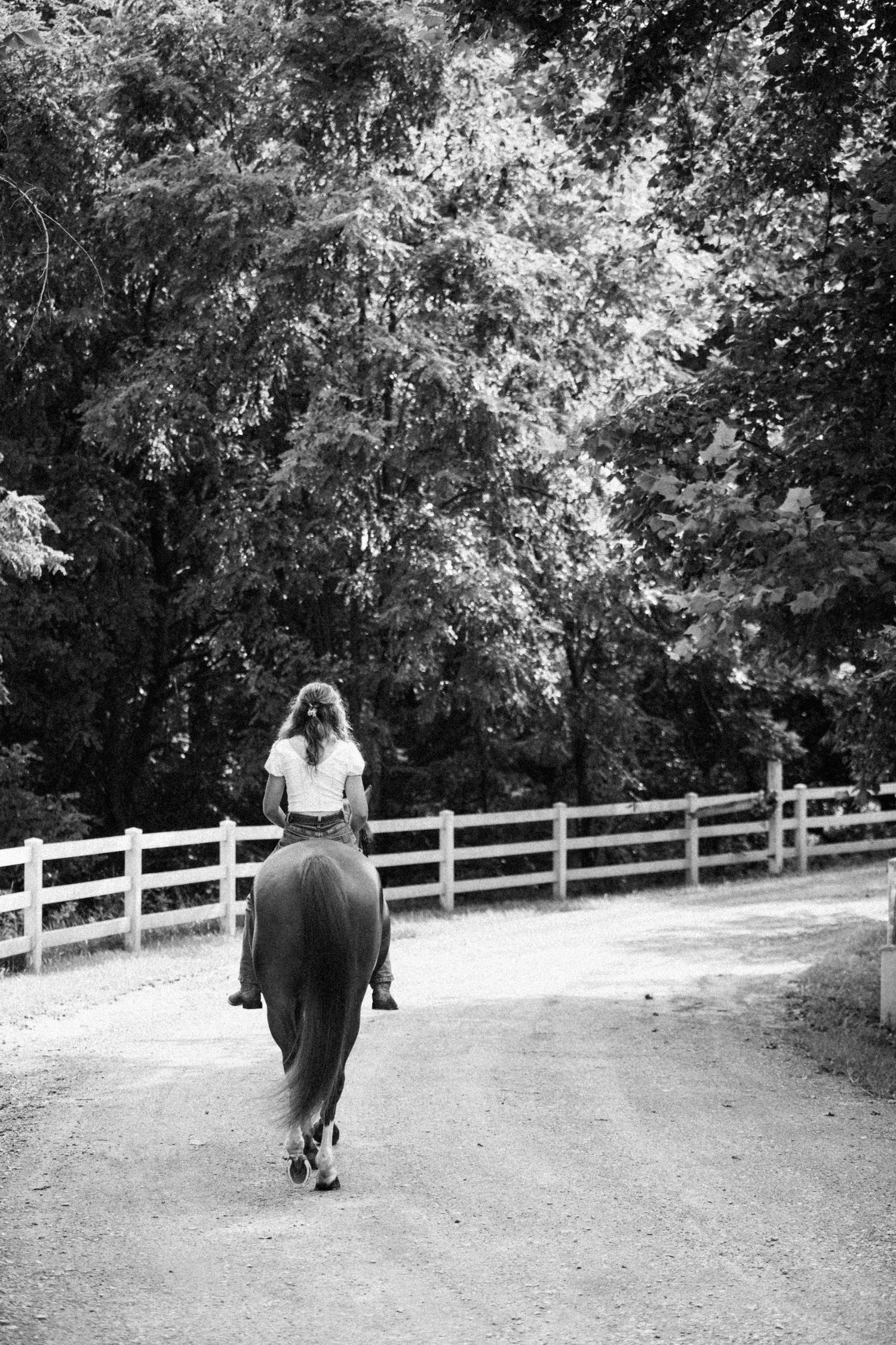 Black and white photo of horseback rider on trail with white fence.