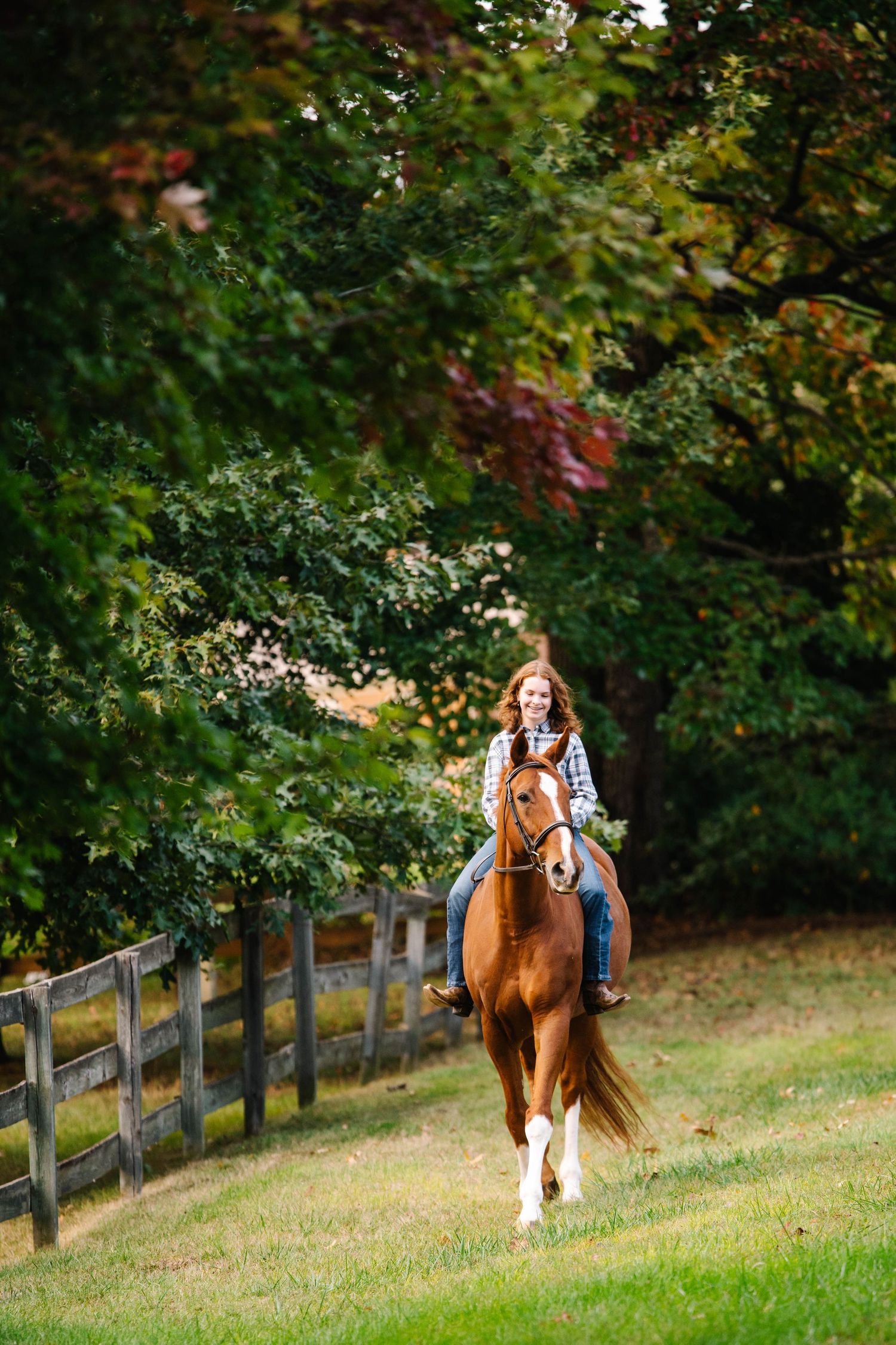 A chestnut horse gallops along a wooden fence line under colorful fall foliage.