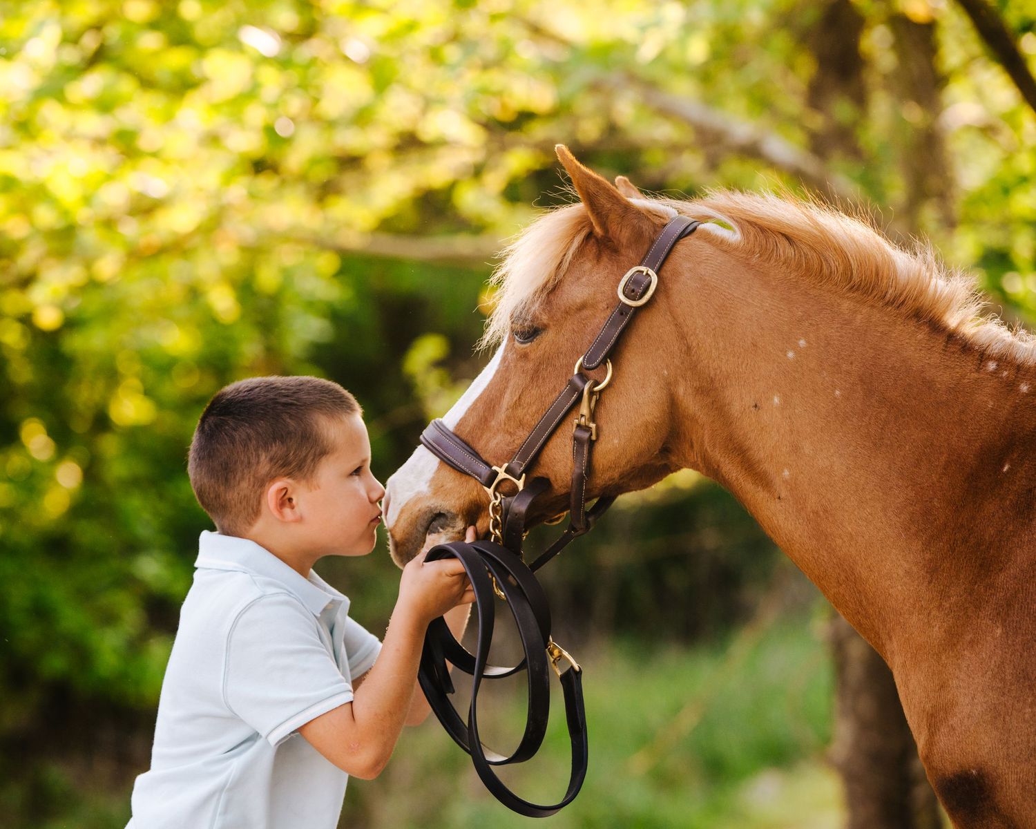Child in white shirt interacts with a gentle chestnut horse against green foliage background.