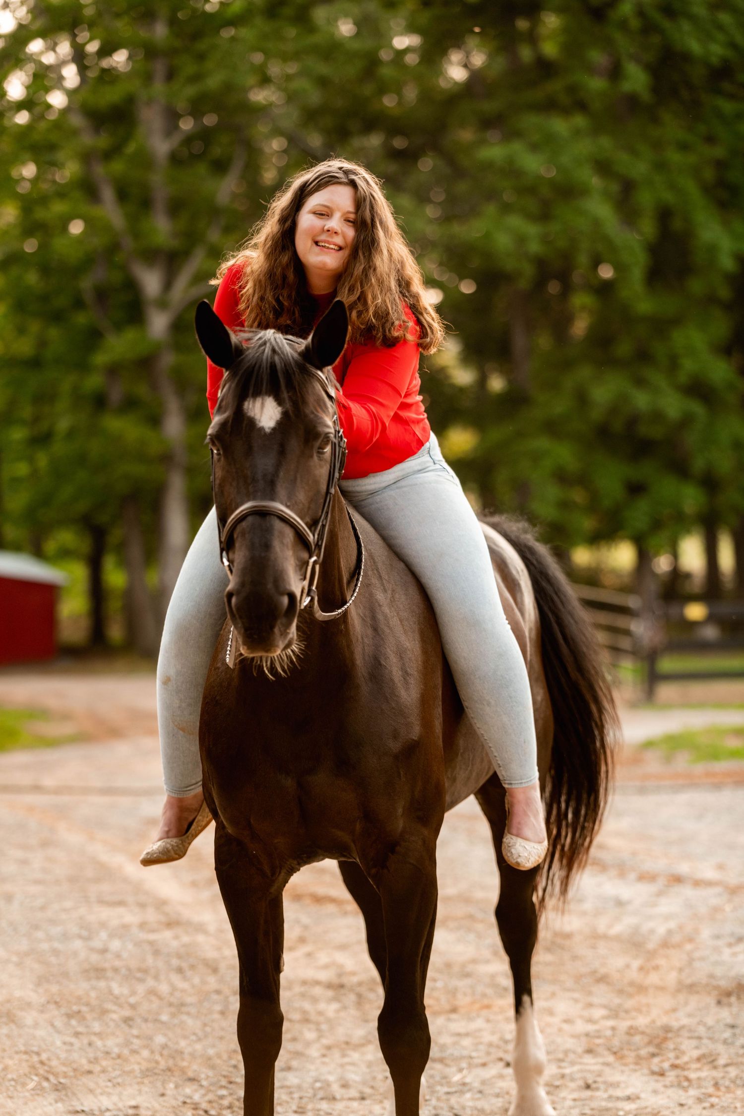 A dark bay horse and rider enjoying an autumn afternoon on a dirt path.