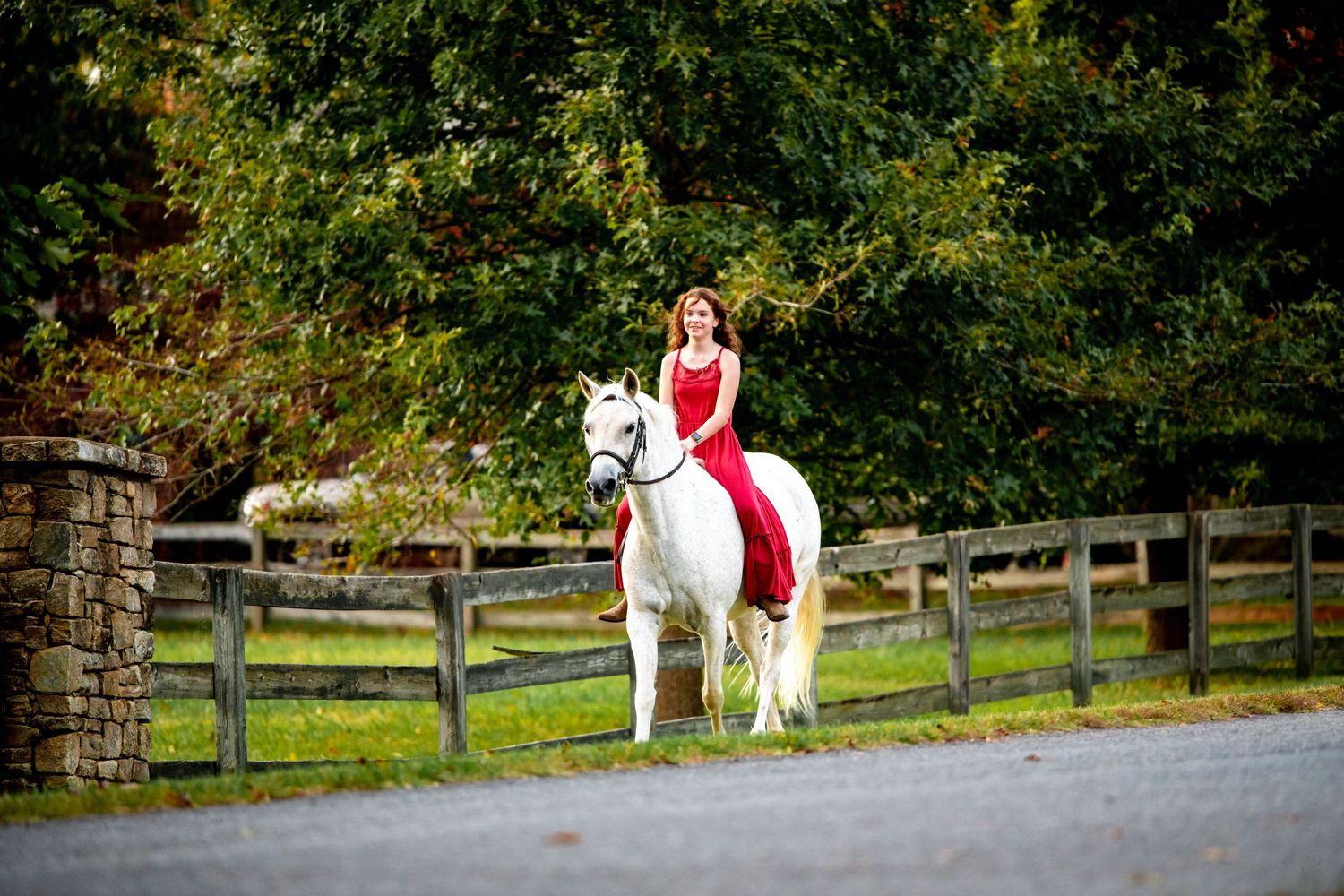 A rider in a red dress sits atop a majestic white horse on a path bordered by wooden fencing and autumn foliage.