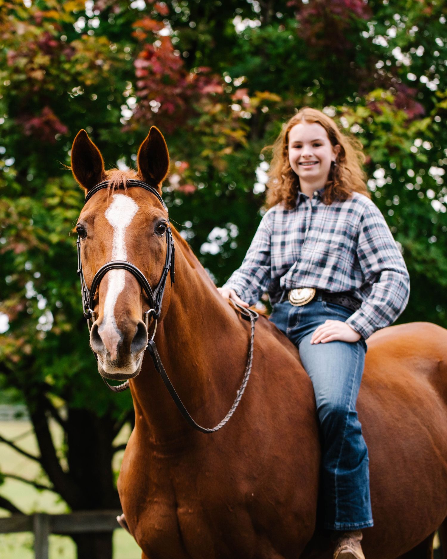 A handsome chestnut horse with white markings stands against a backdrop of fall foliage.