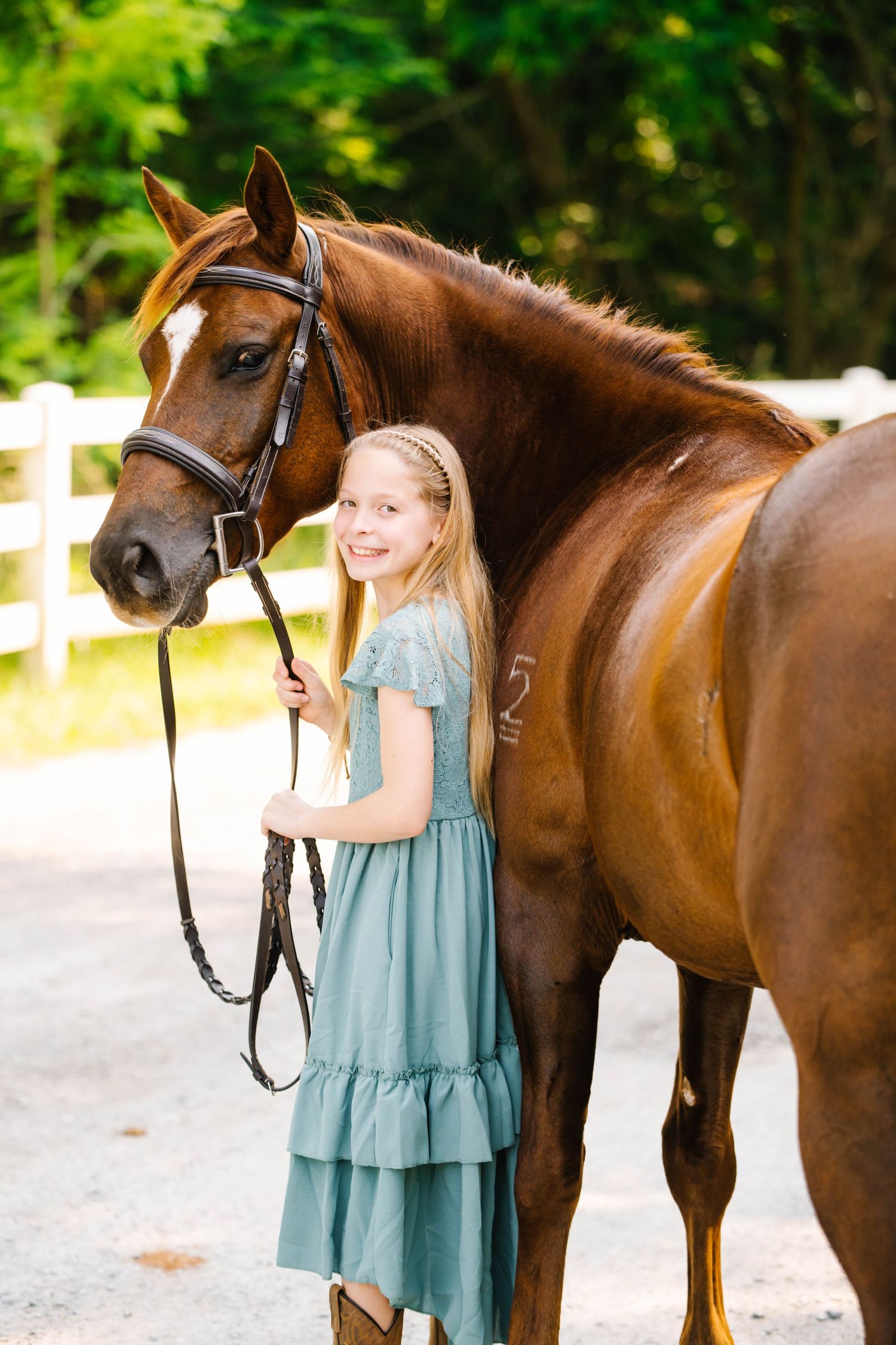 A bay horse with leather bridle stands beside companion in blue dress on sunny path.