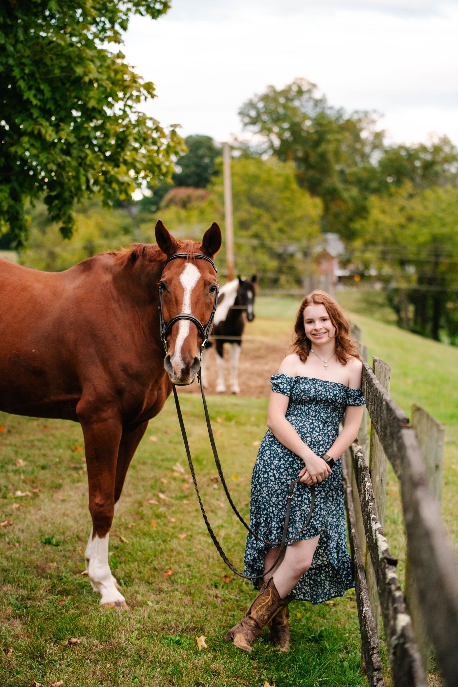 A chestnut horse with white markings stands by a wooden fence on an autumn day.