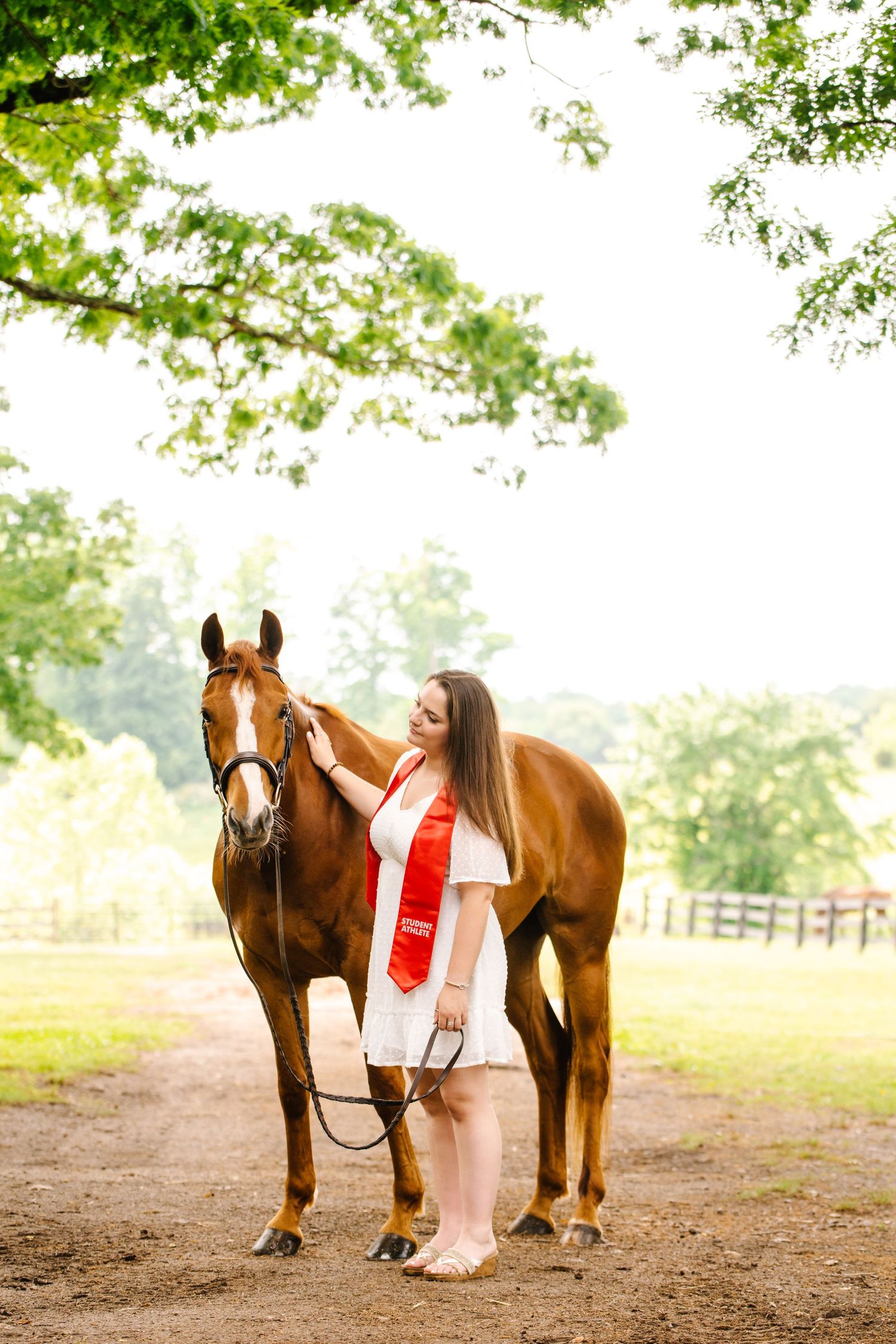 A chestnut horse and its companion pose together in a pastoral setting with green trees in the background.