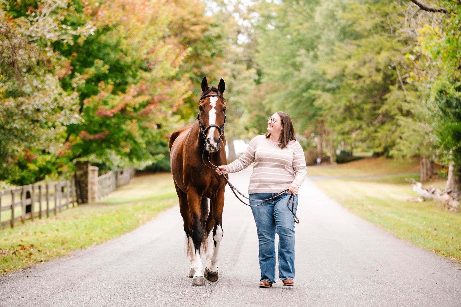 A beautiful chestnut horse walks down a tree-lined path during autumn.