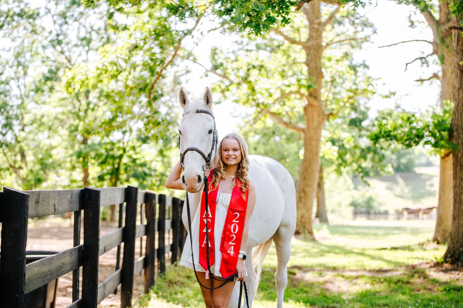White horse and person in red by wooden fence under sunlit trees.