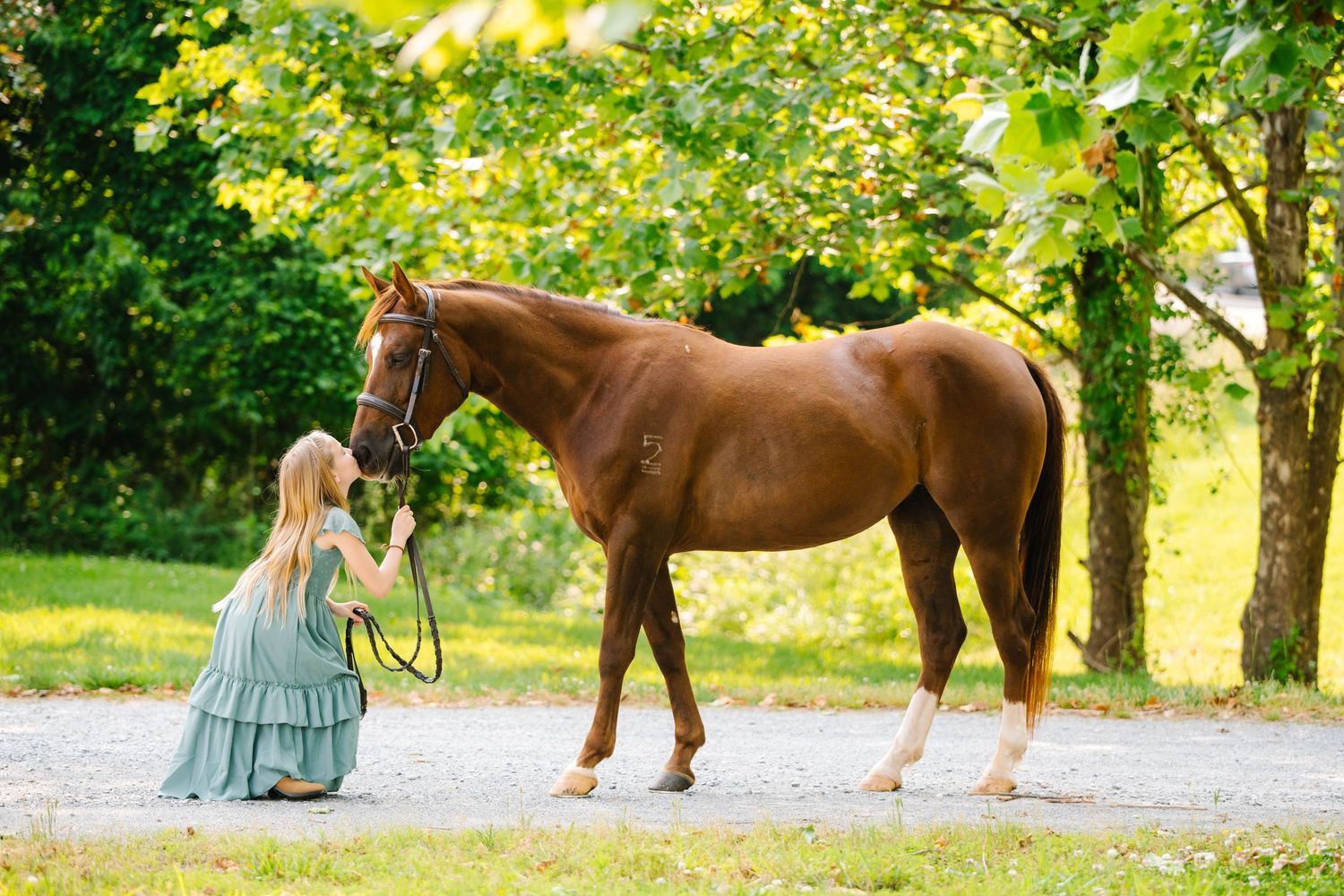 A chestnut horse standing on a path while someone in a blue dress kneels beside it in a garden setting.