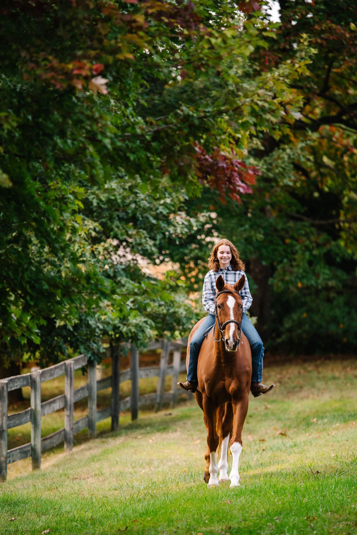 A chestnut horse trots gracefully along a wooden fence line surrounded by fall foliage.