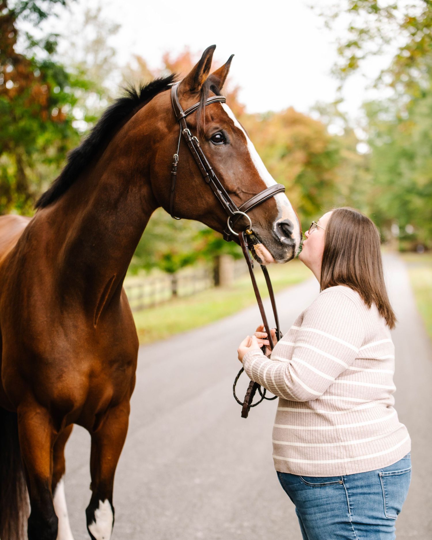 A stunning chestnut horse with white markings poses against a backdrop of fall trees.