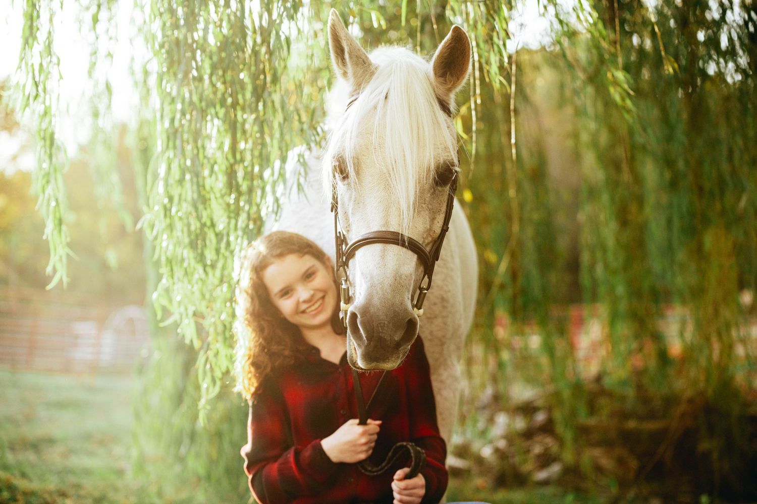 A white horse and companion in a red sweater share a moment under weeping willow branches.