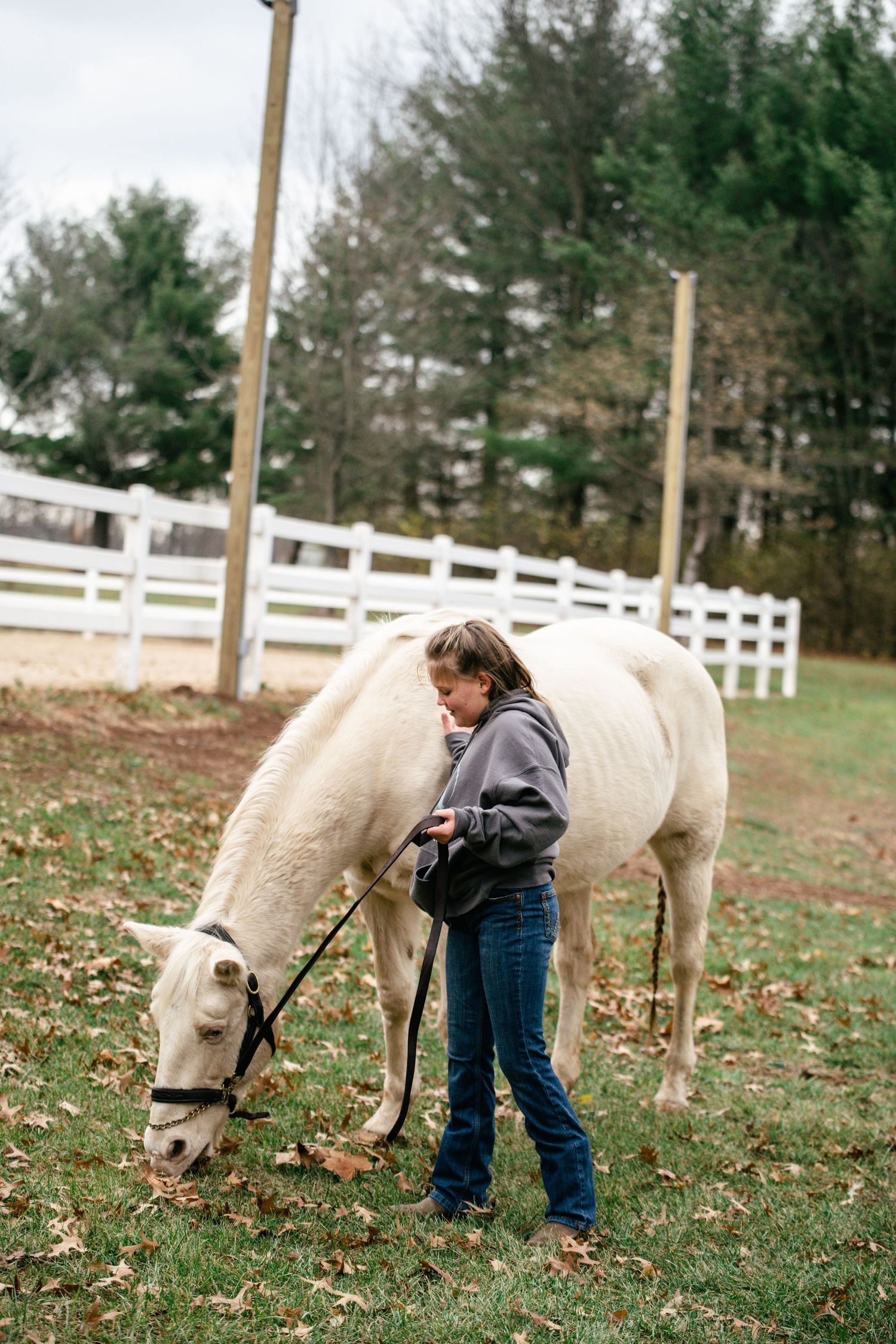 A white horse grazes while being led by someone in casual wear near a white fence and pine trees.