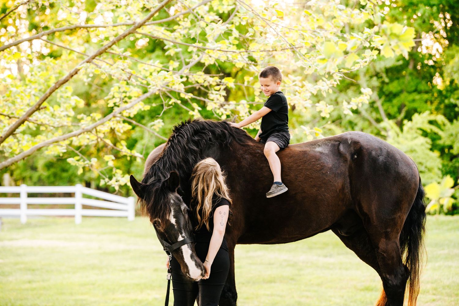 A large black horse stands calmly while being attended to by two people in a grassy field.