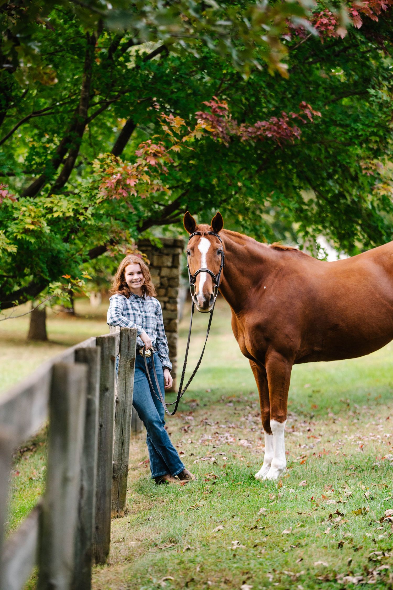A chestnut horse with white markings stands near a wooden fence on a fall day surrounded by autumn trees.