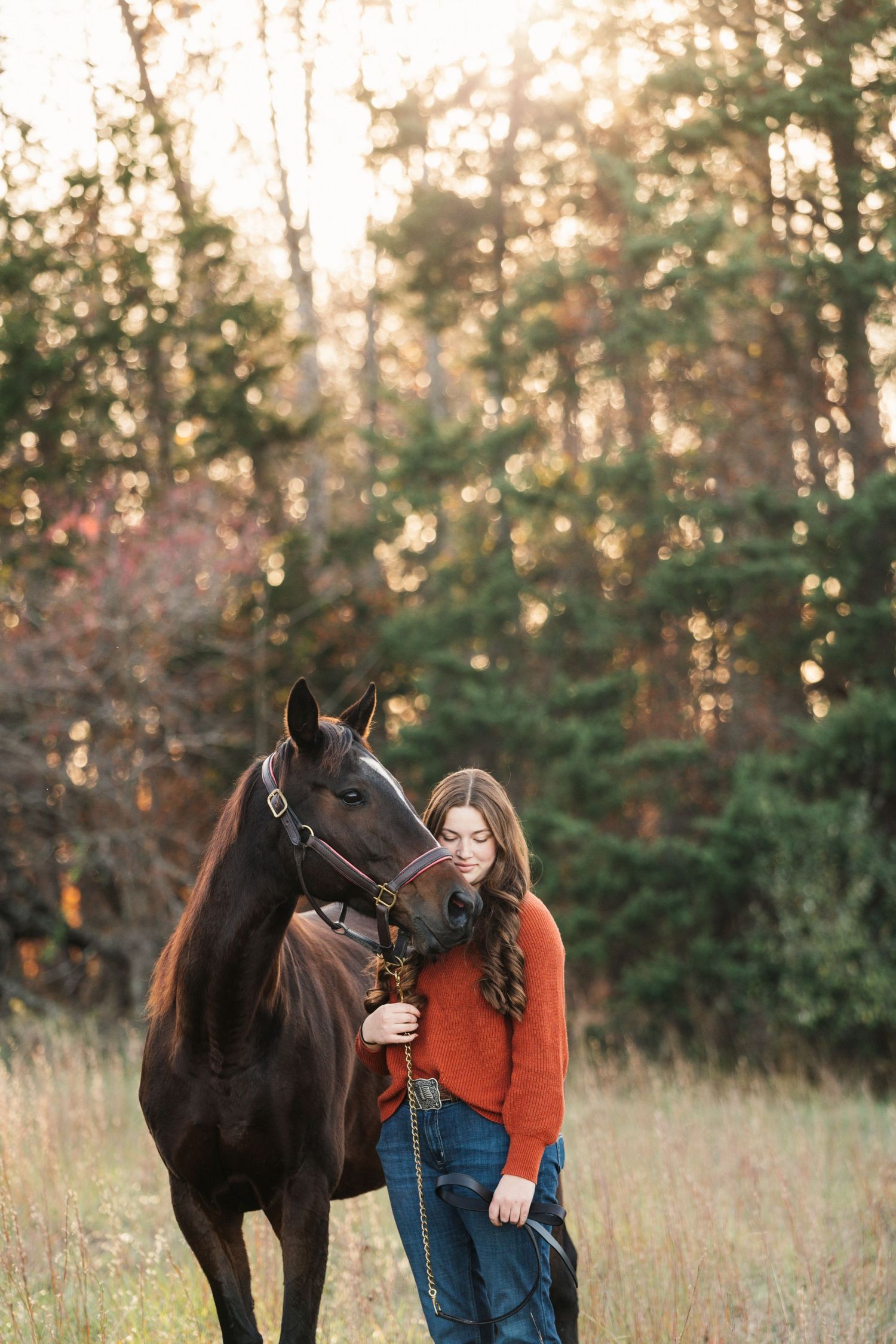 A dark bay horse and person in orange sweater share a moment at sunset in a field.