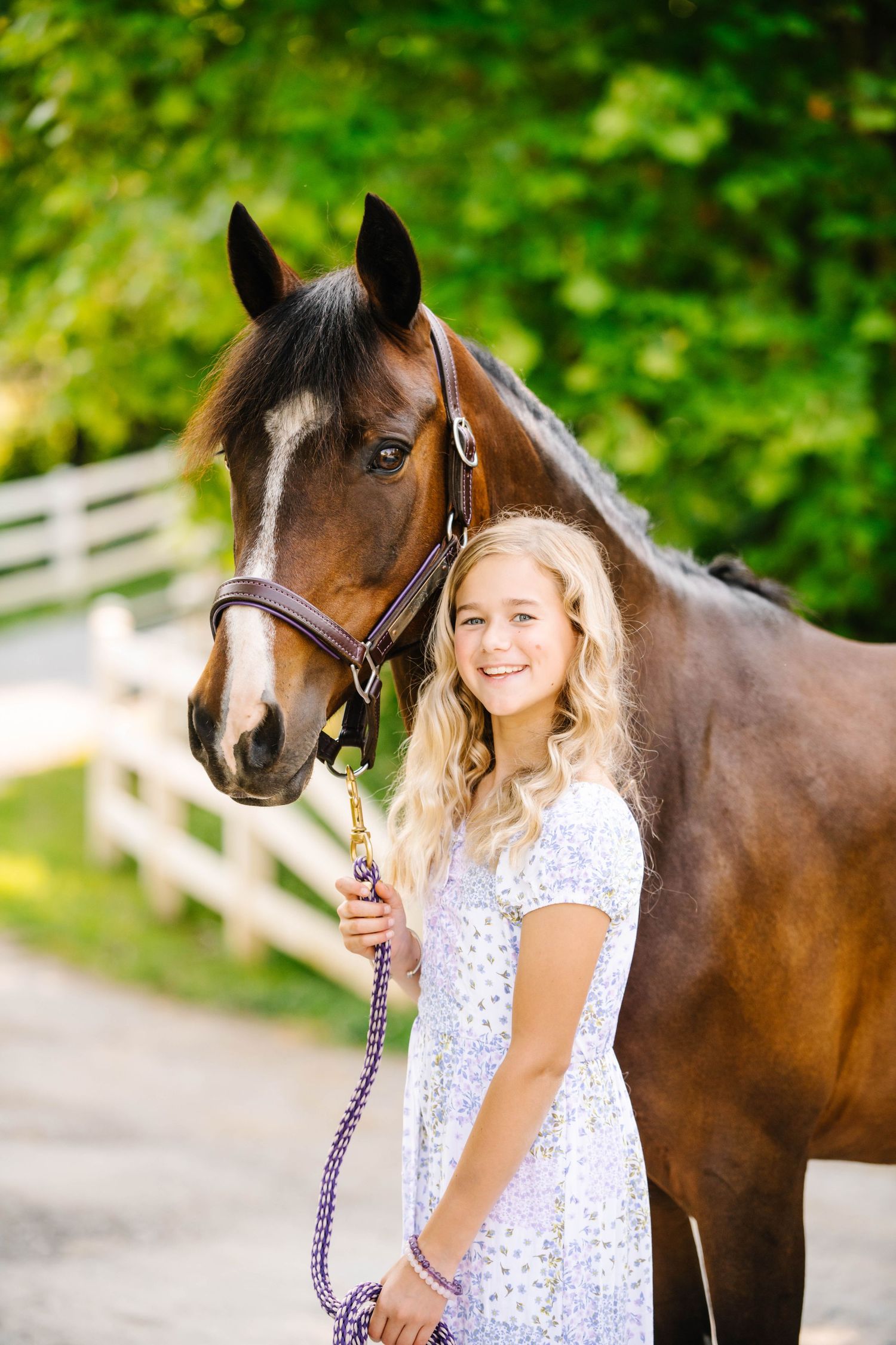 A beautiful bay horse with white markings stands with companion on a tree-lined path.