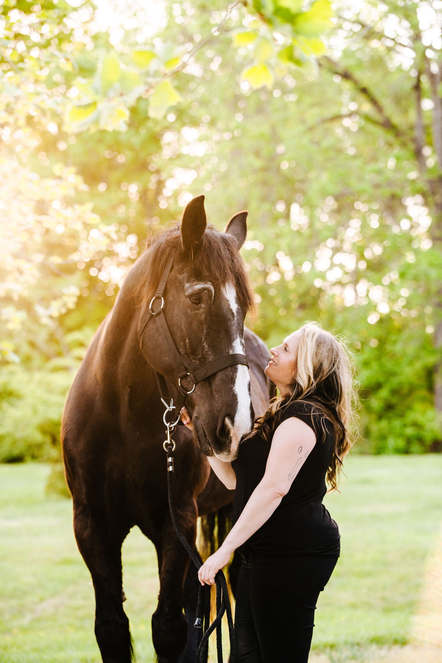 A dark horse and its handler share an intimate moment in a sun-dappled garden setting.