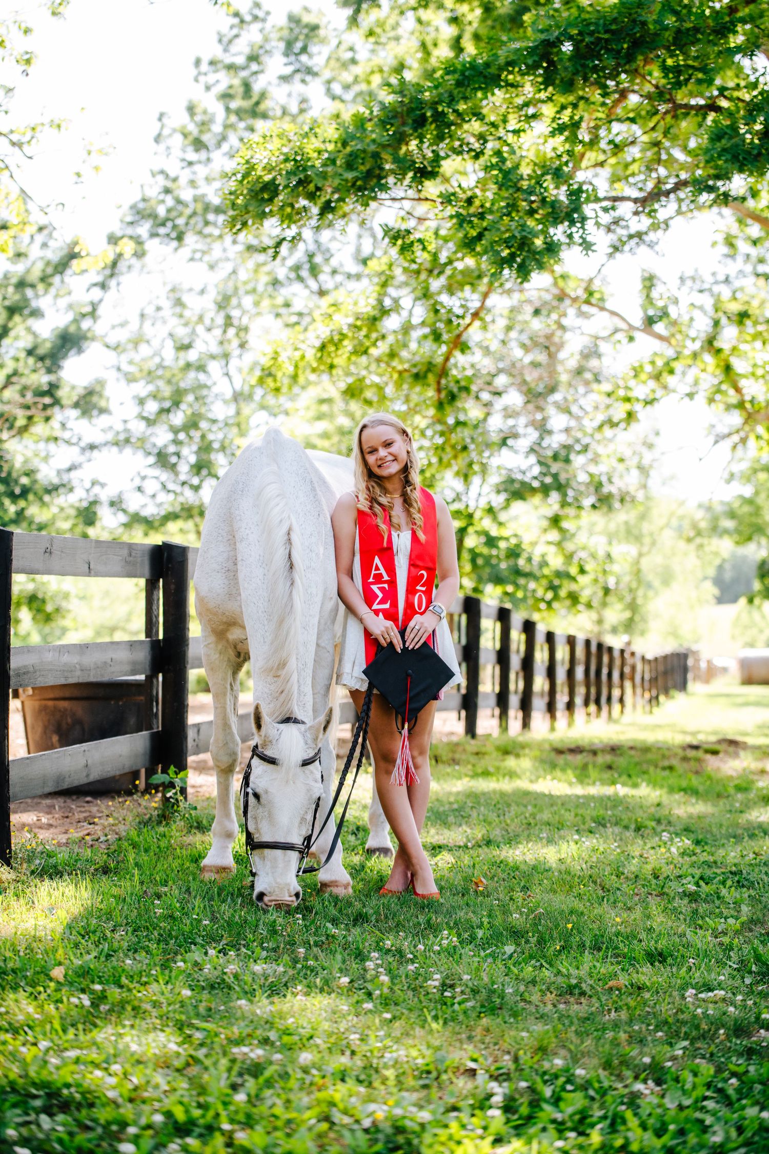 White horse grazing by fence while person in red stands nearby under trees.