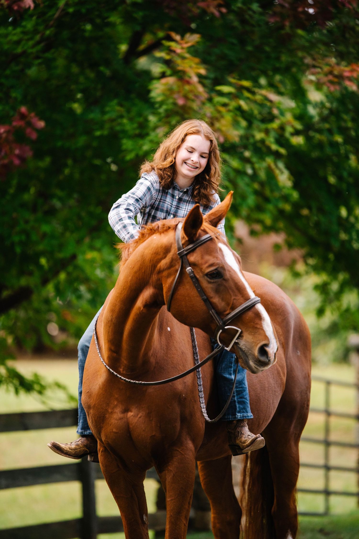 A beautiful chestnut horse with white socks poses near a rustic wooden fence surrounded by autumn trees.