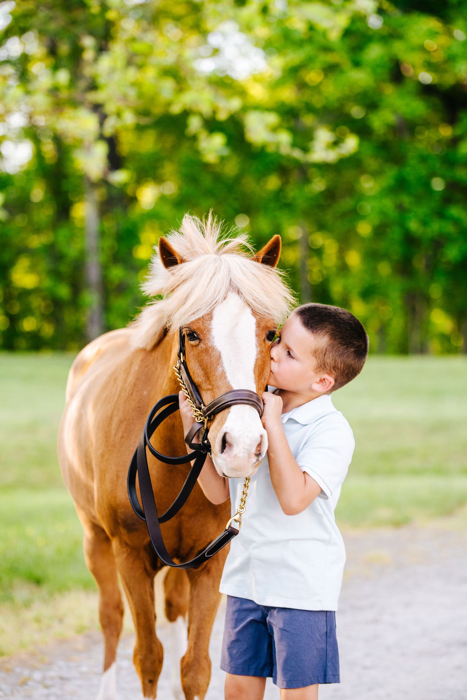 Young person in white shirt shares tender moment with palomino horse on tree-lined path.