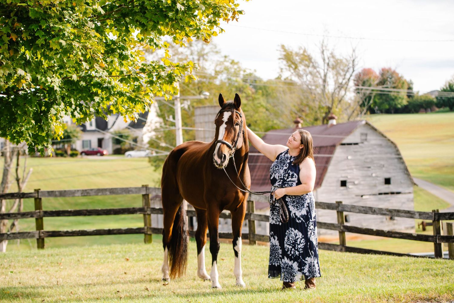 A chestnut horse in a rural paddock with wooden fences and autumn trees in the background.