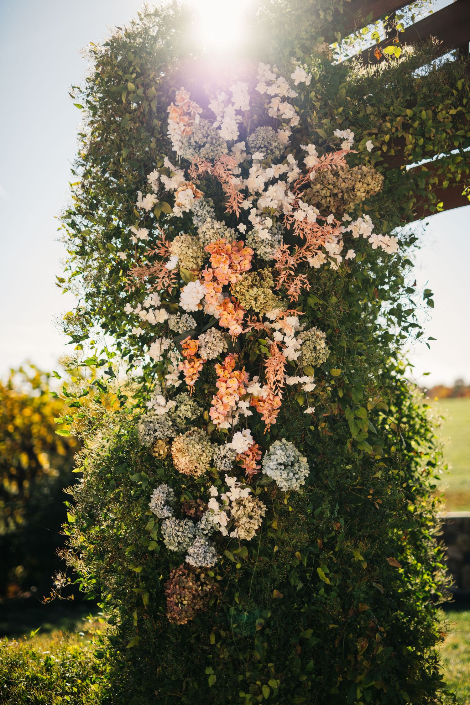 White and peach floral arrangement cascading down a garden arch with sunlight peeking through.