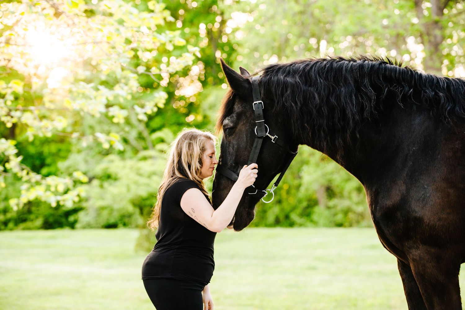 A majestic black horse connects with its handler against a sunlit natural backdrop.