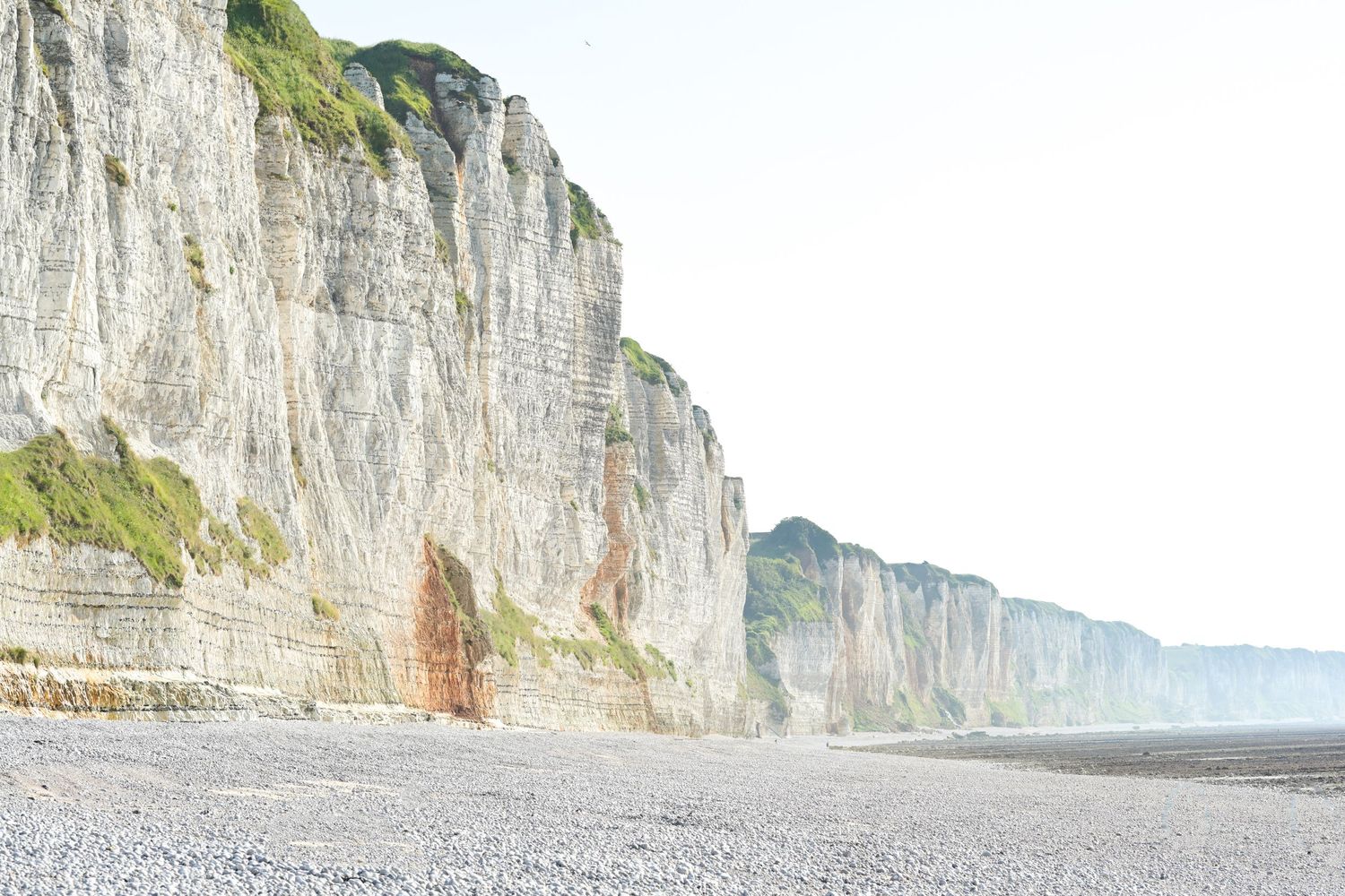 Towering white chalk cliffs stretch along a pebbled beach coastline.