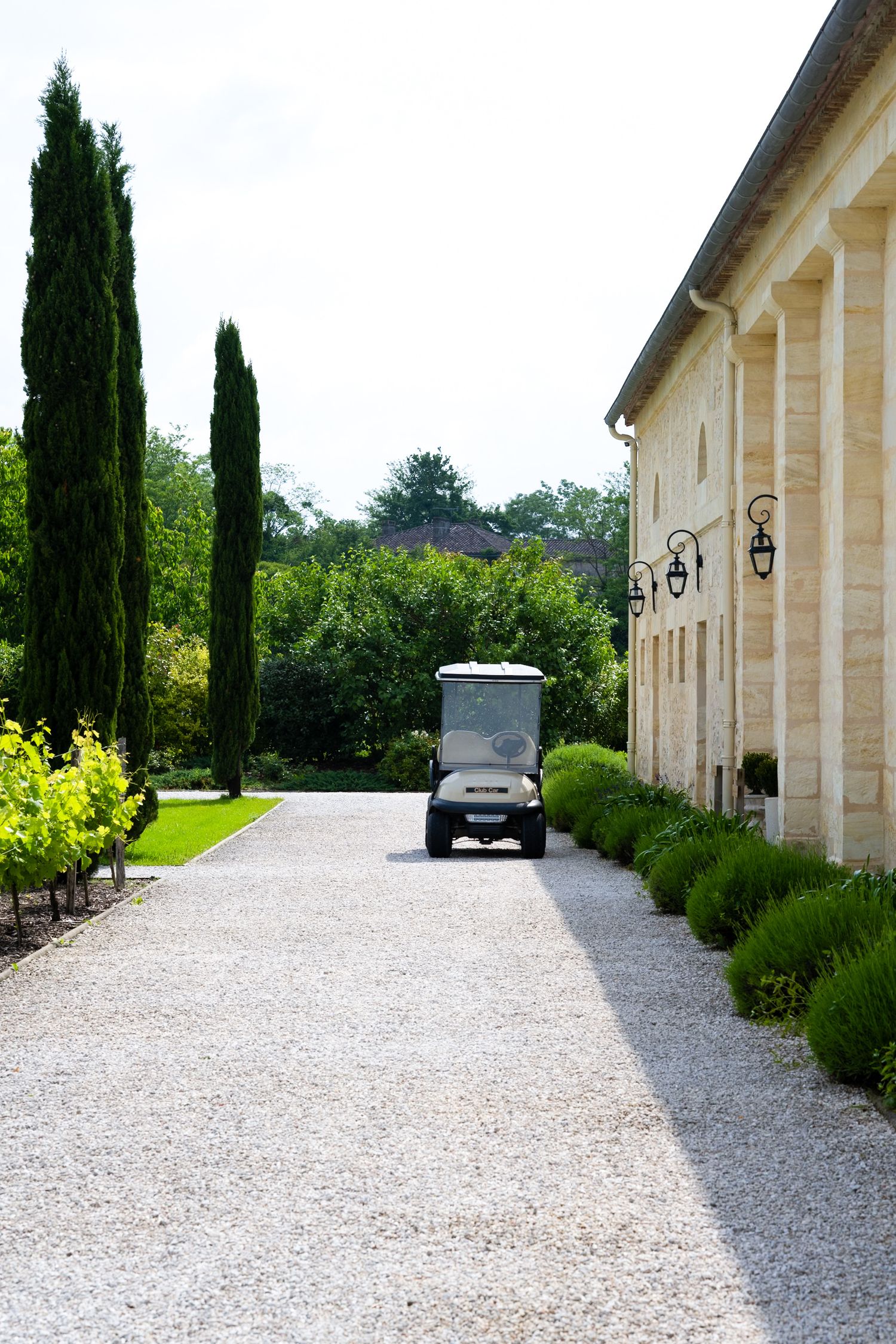 Gravel driveway lined with cypress trees and stone buildings at an elegant estate.