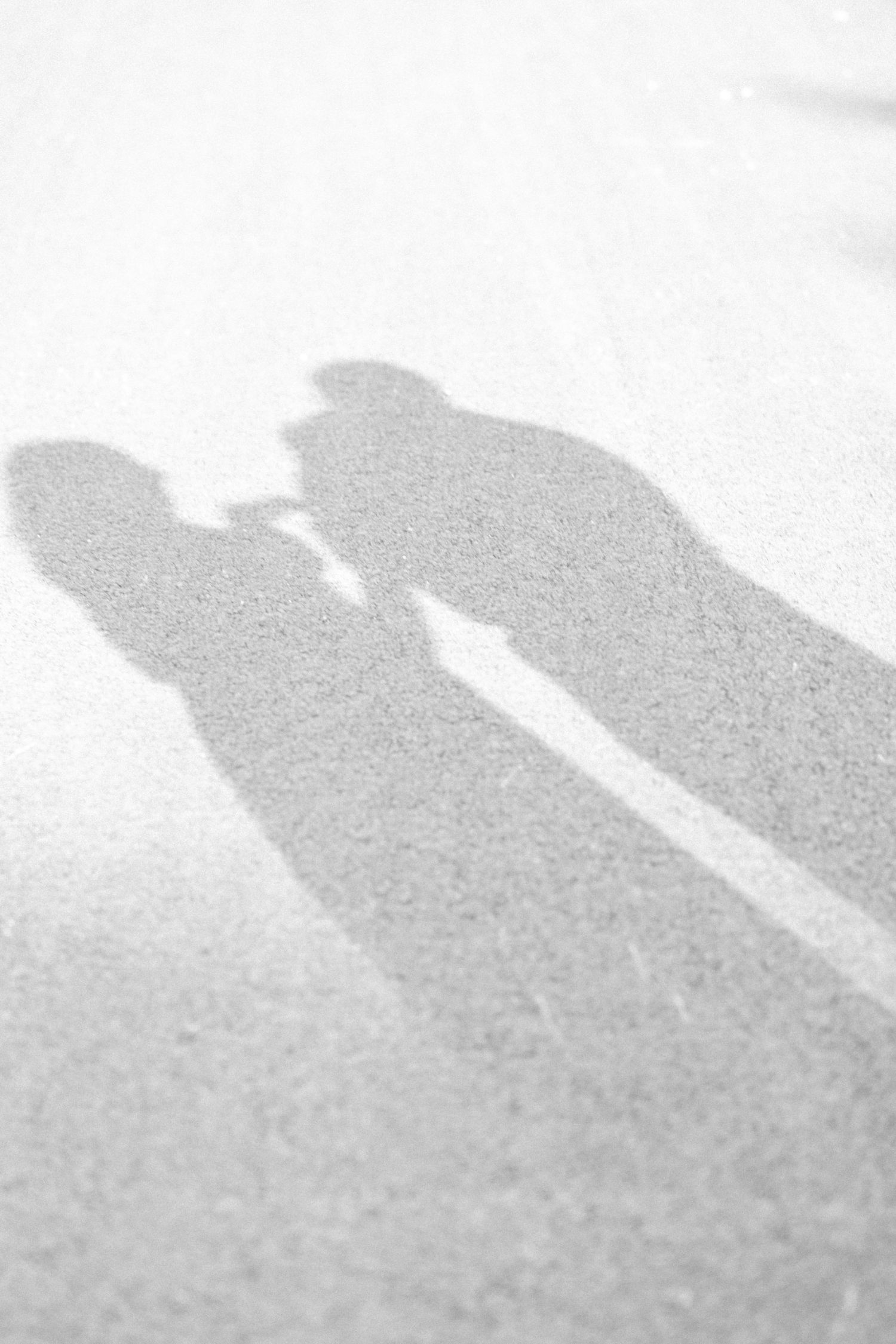 Silhouettes of people cast shadows against a light background.