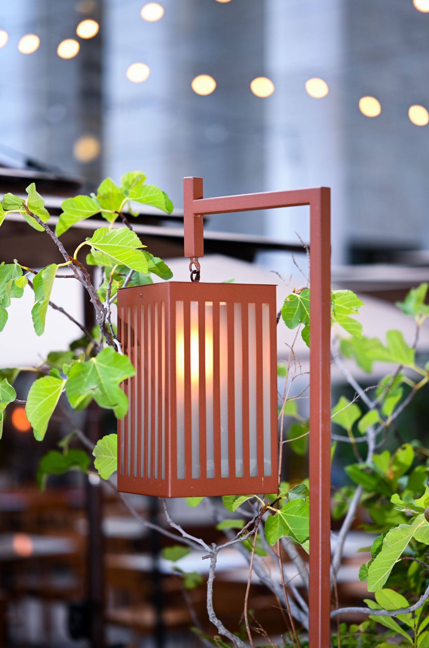 Decorative orange lantern with glowing light surrounded by green foliage and string lights.