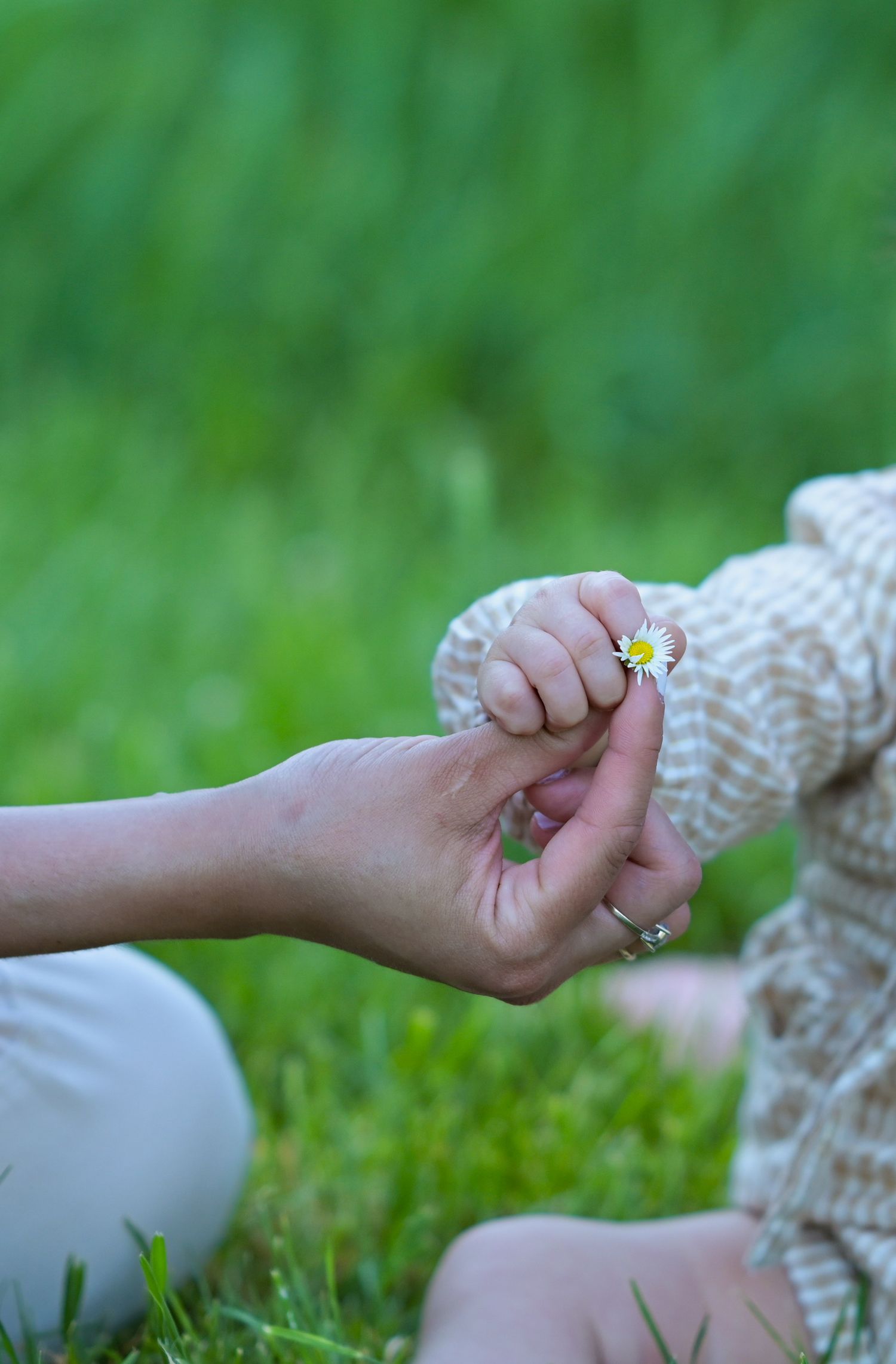 Close-up of hands reaching for wildflowers in green grass.