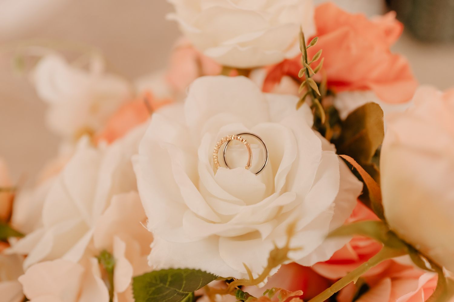 Close-up of wedding rings nestled in a white and coral rose bouquet.