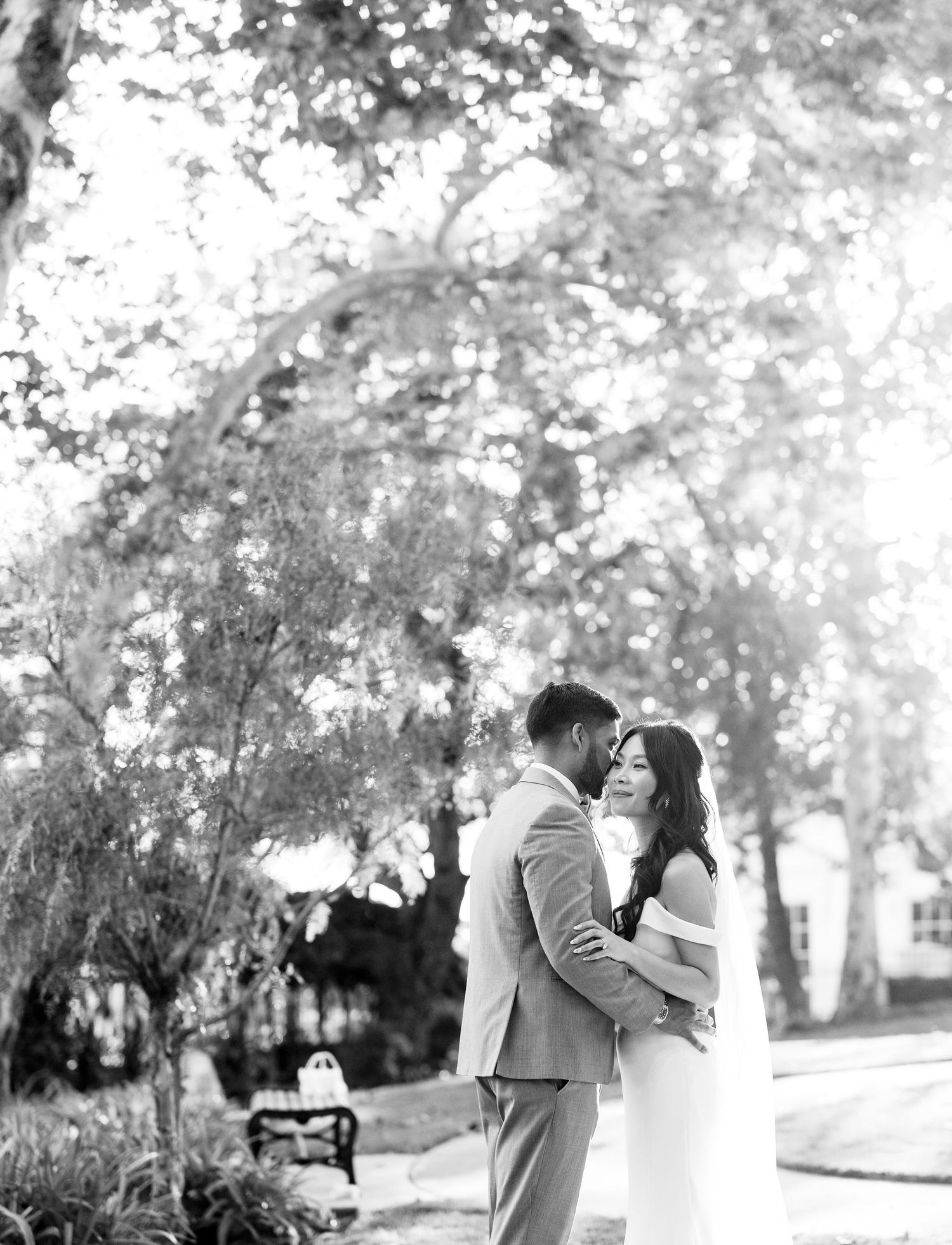 A series of romantic black and white photos showing a couple embracing outdoors in a park setting.