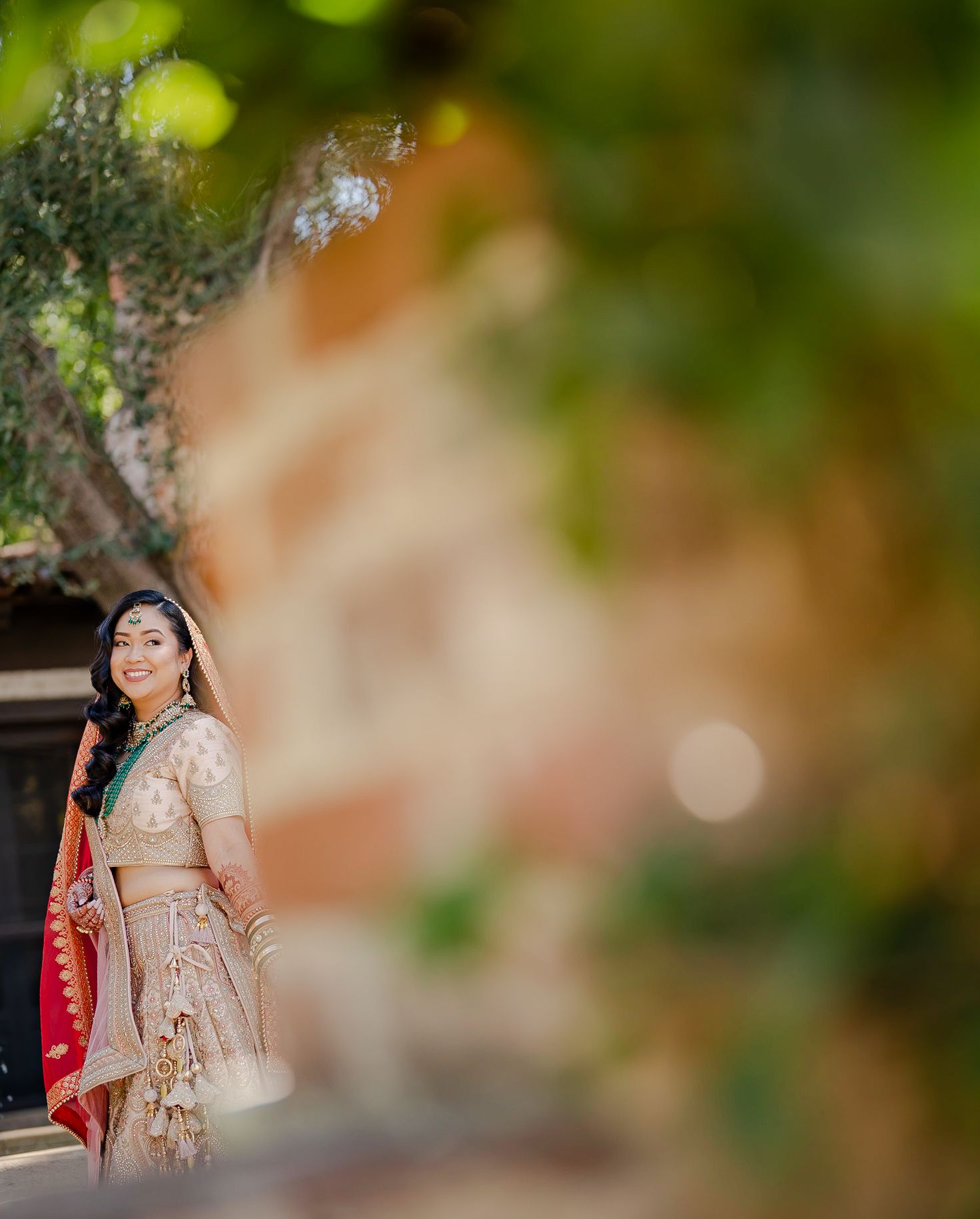 Soft bokeh effect creates a dreamy green and gold background with blurred foliage.
