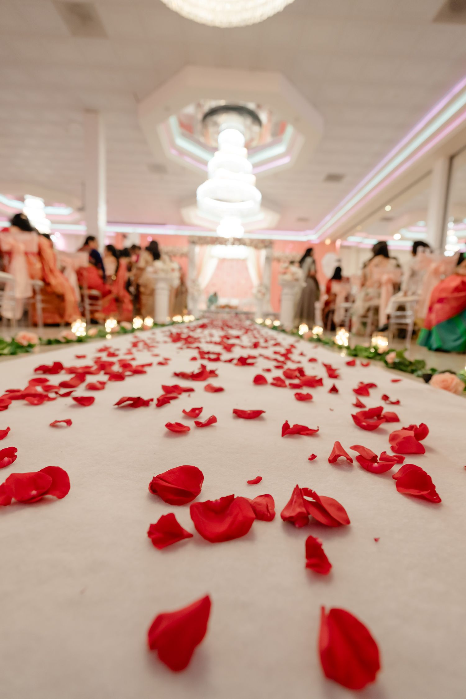 Red rose petals scattered along a white aisle at an elegant indoor wedding ceremony with guests seated on both sides.