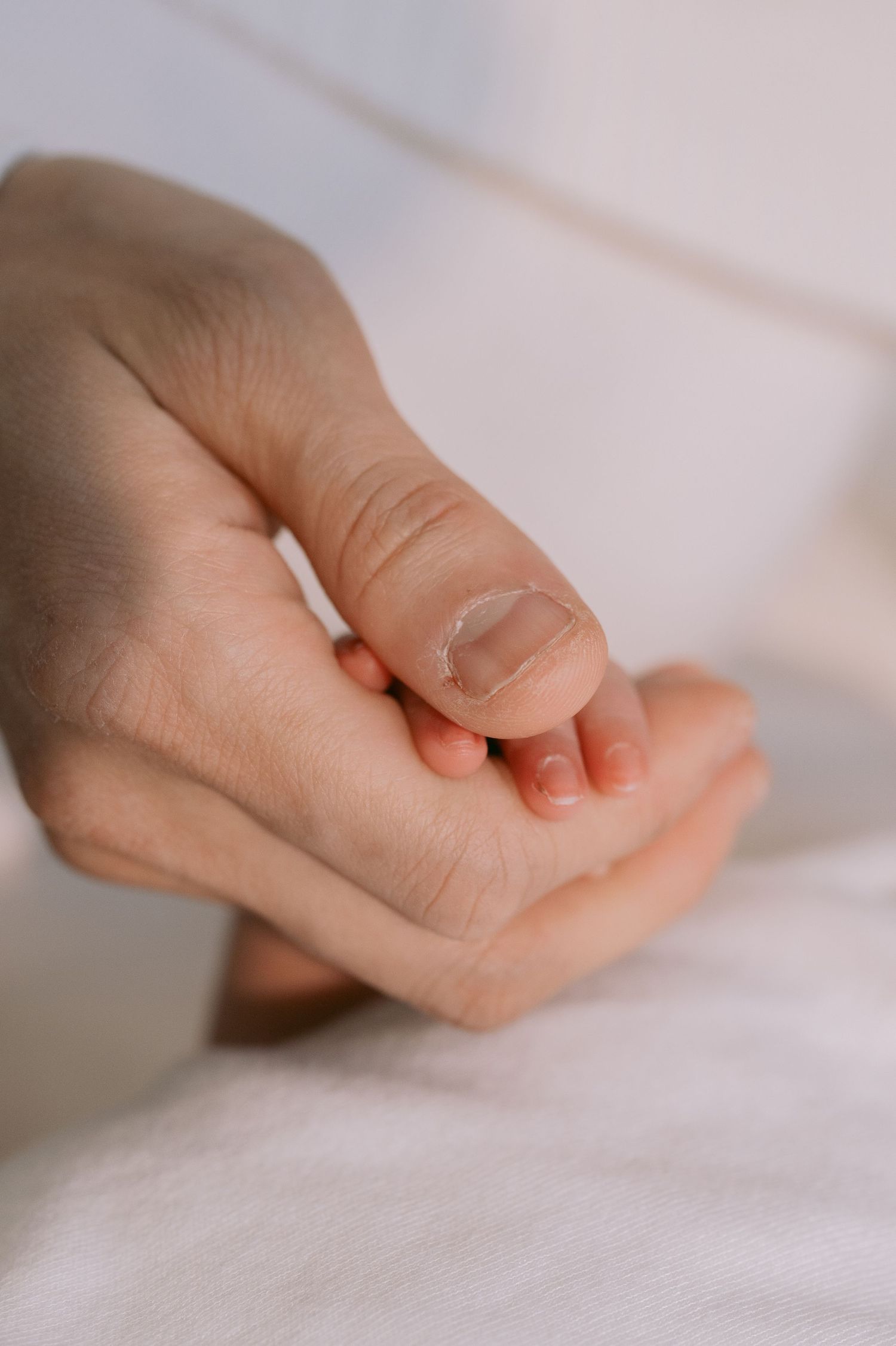In-home Newborn Session in Jersey City