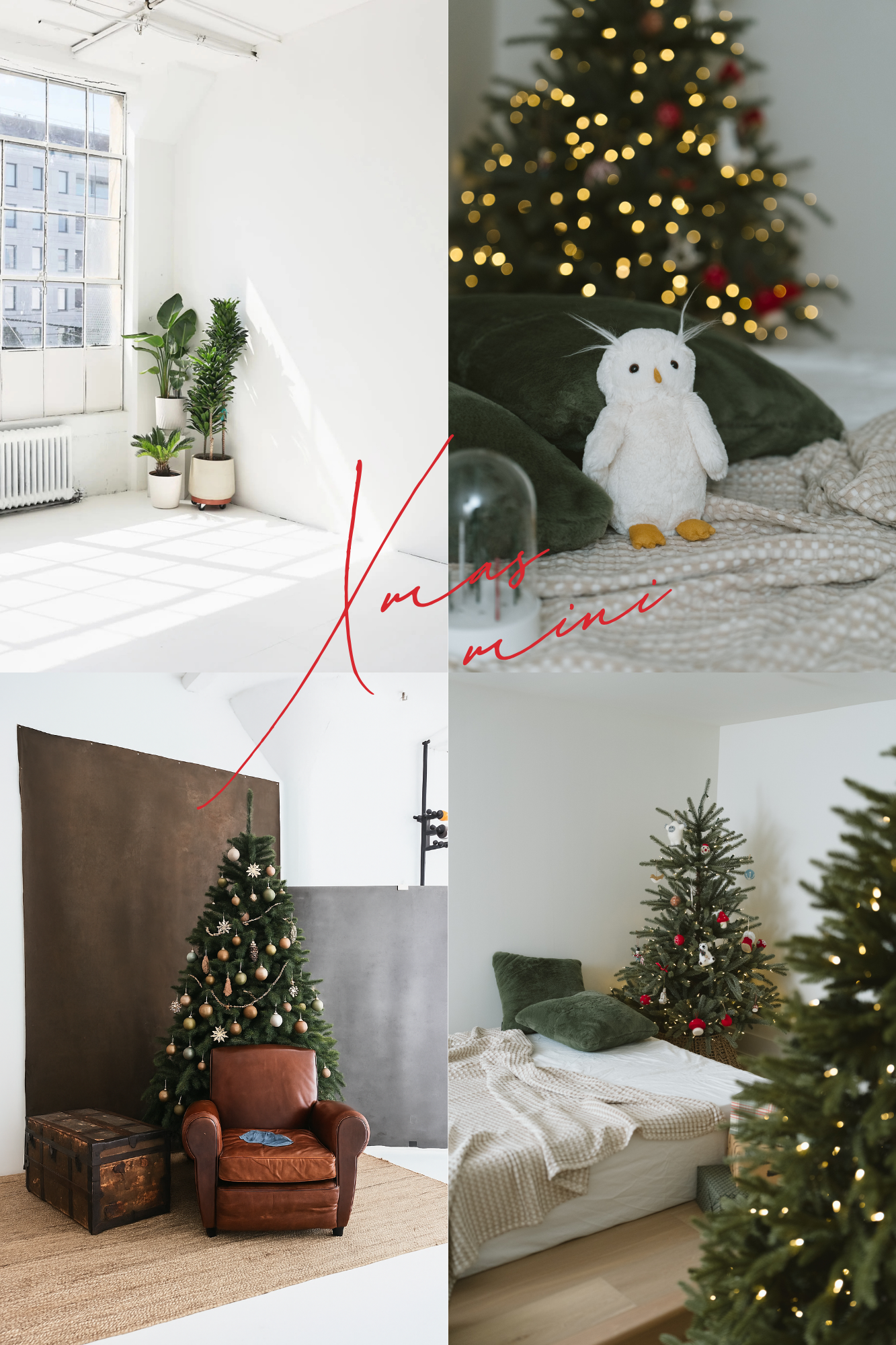 Magical christmas mini session by hoboken family photographer