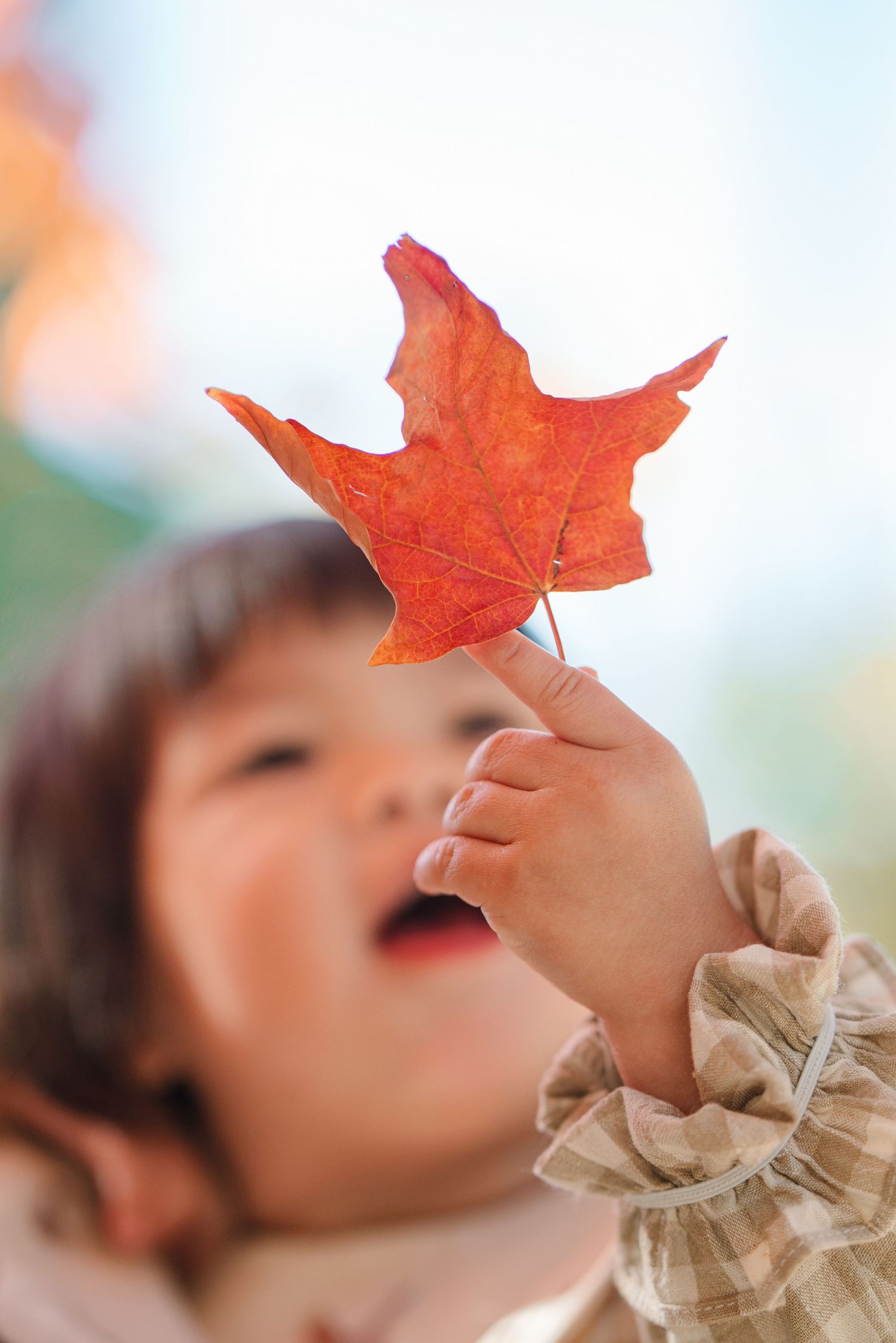 Fall Outdoor Family Session in Central Park New York
