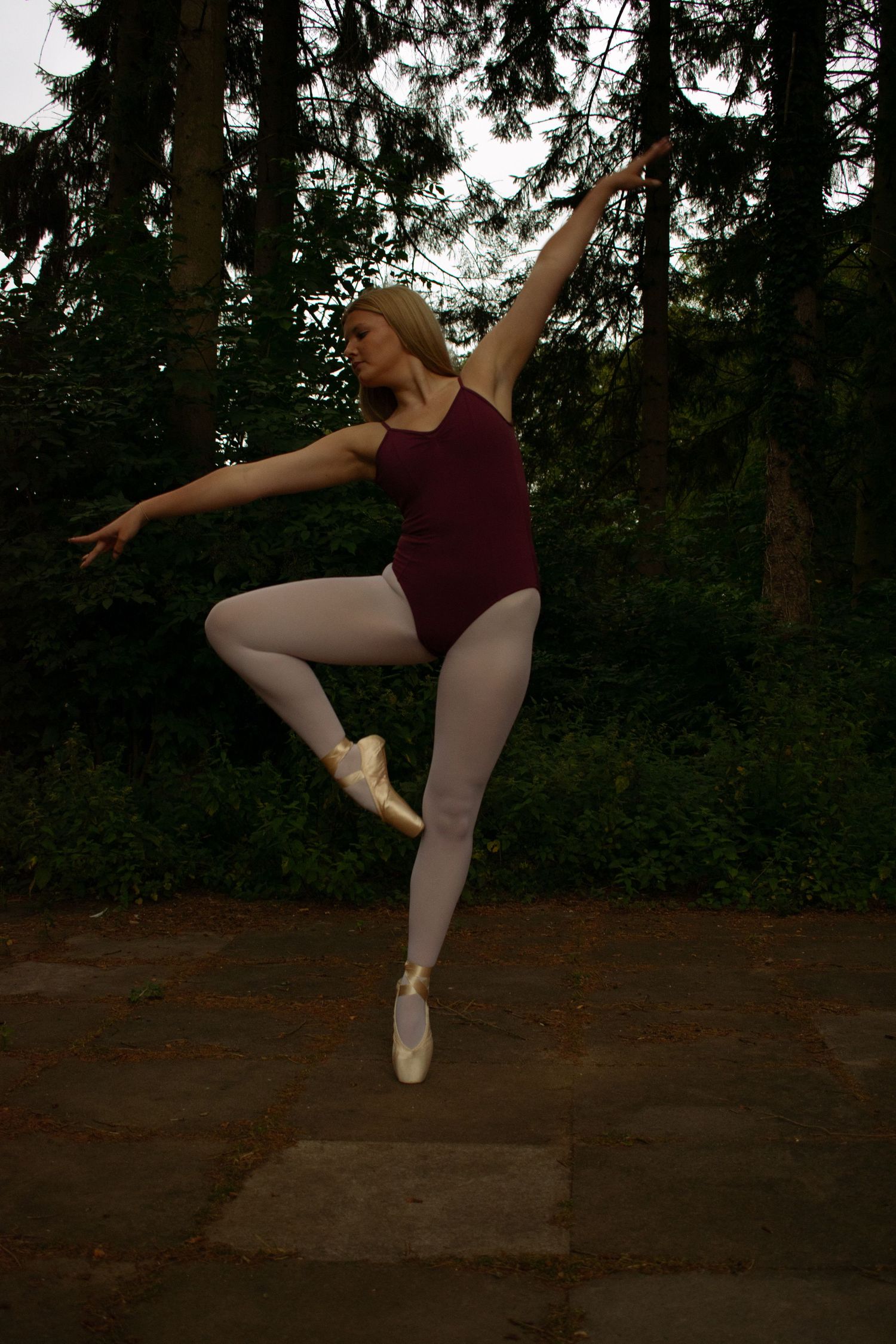 Dance Portraits