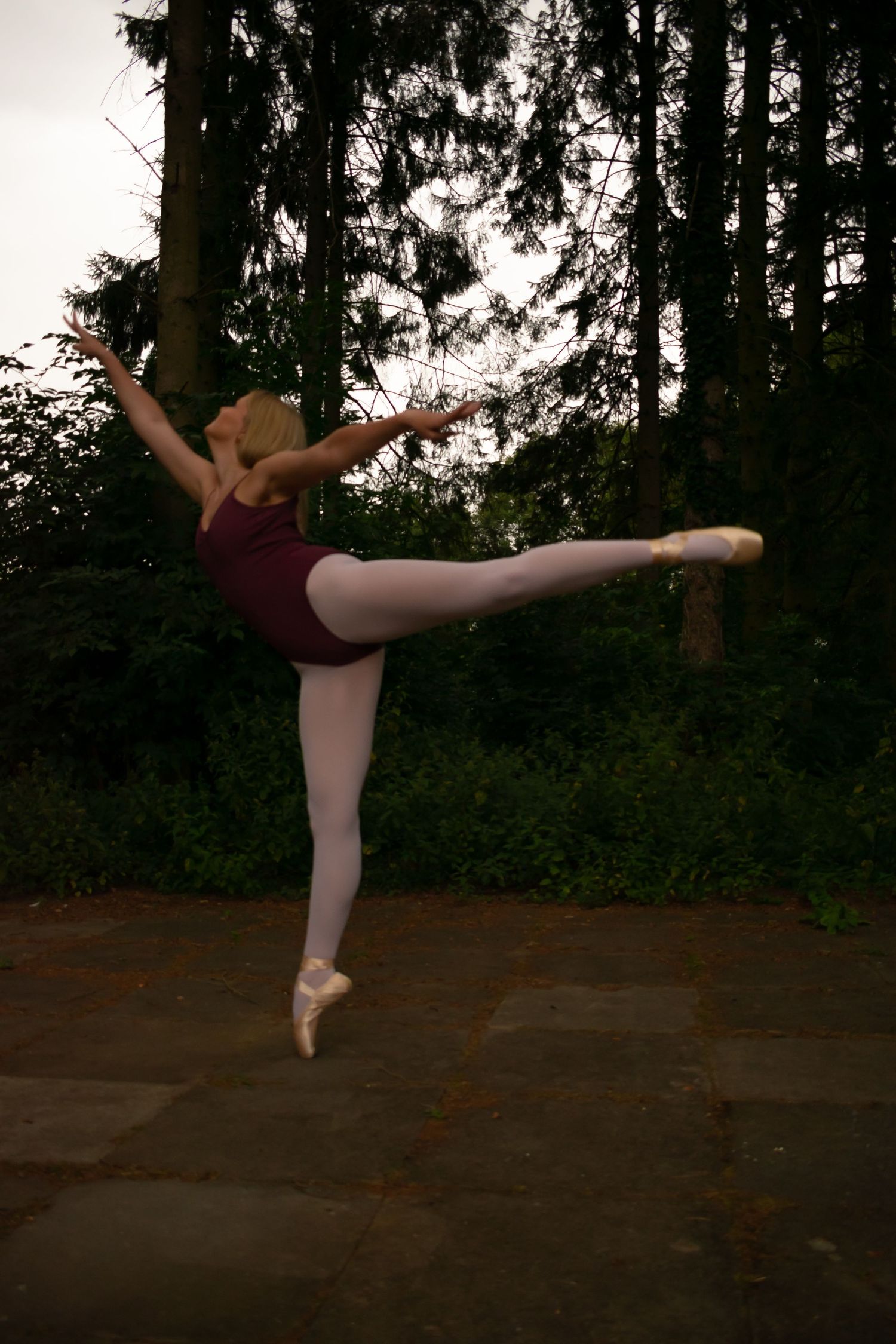 Dance Portraits